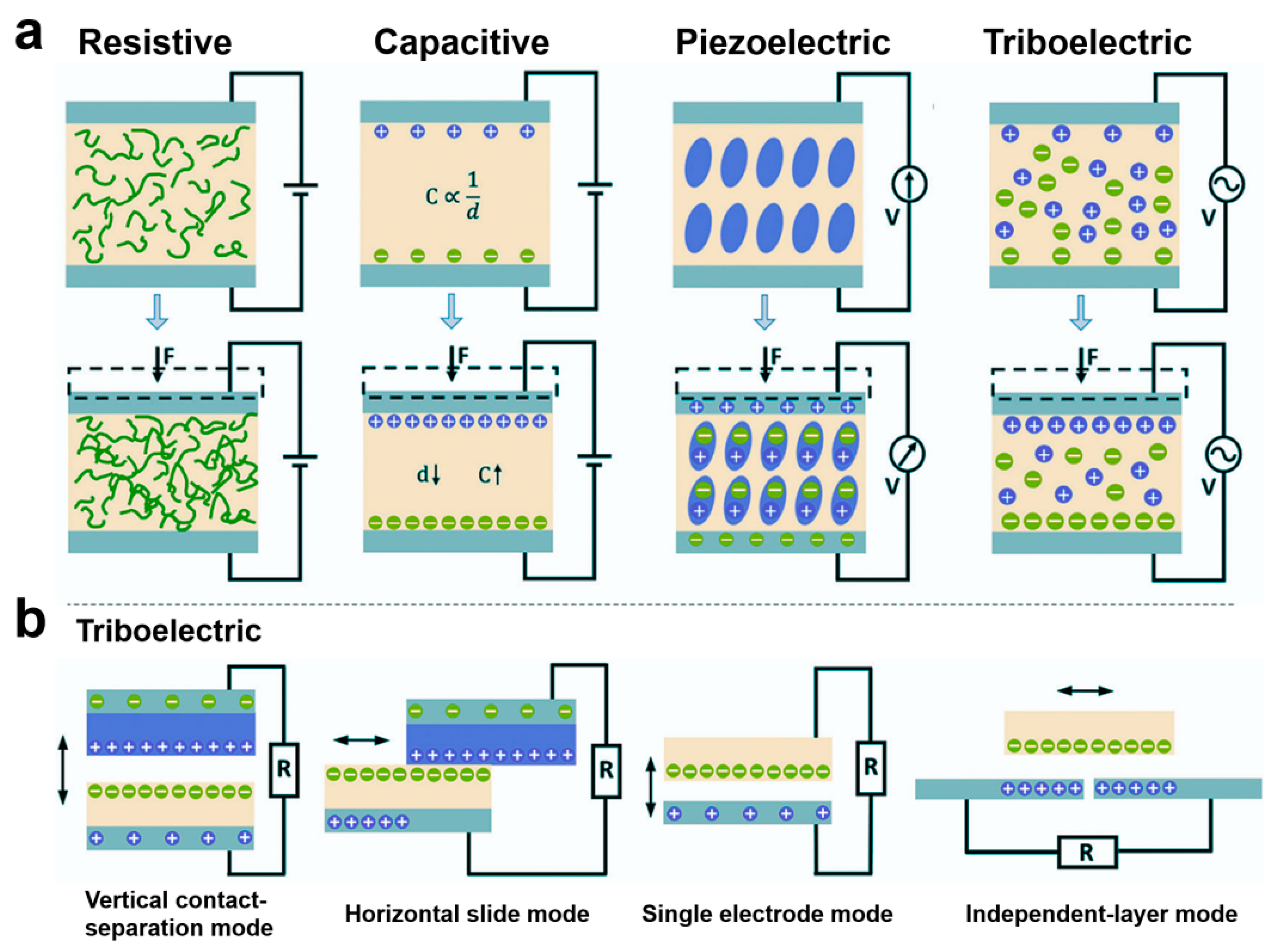 Biomedicines 12 02307 g005