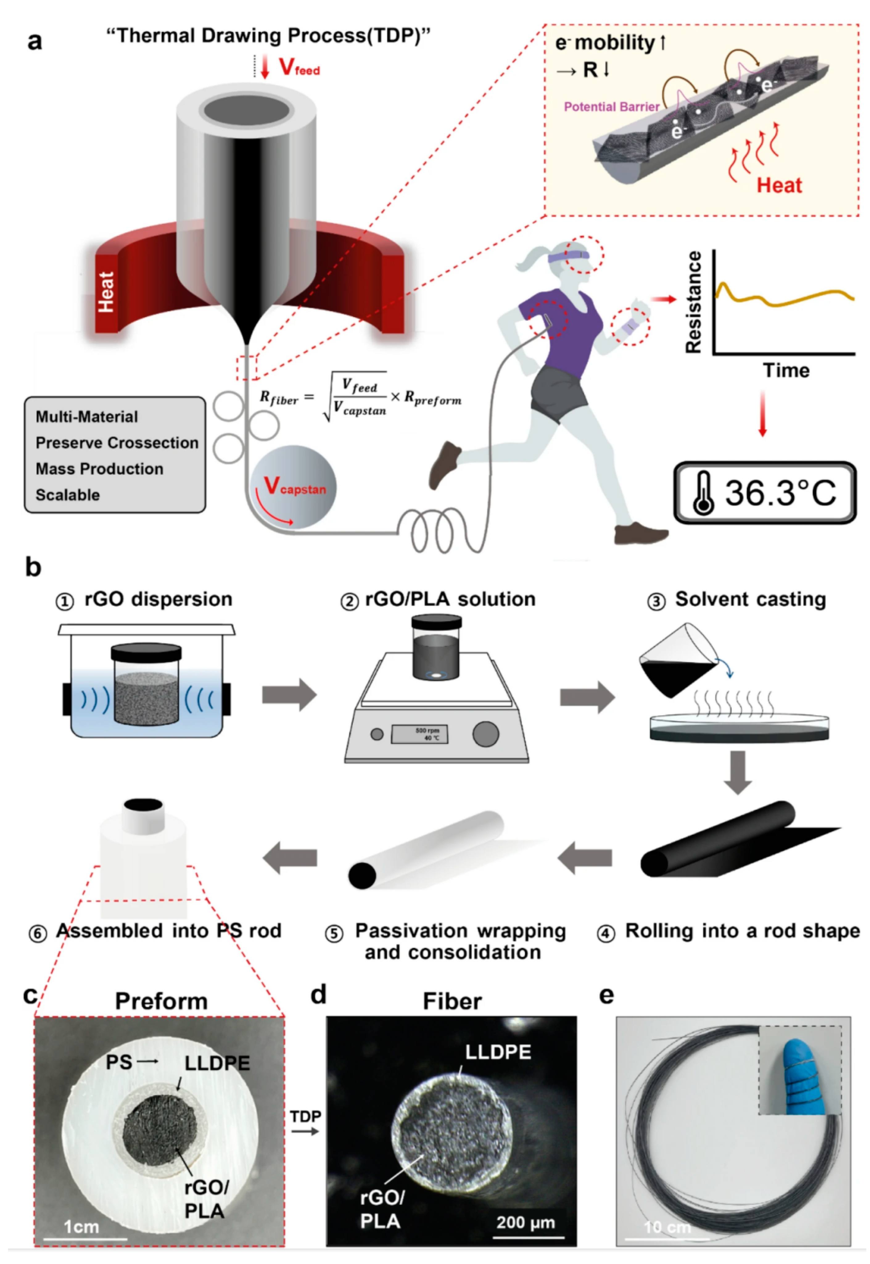 Biomedicines 12 02307 g007