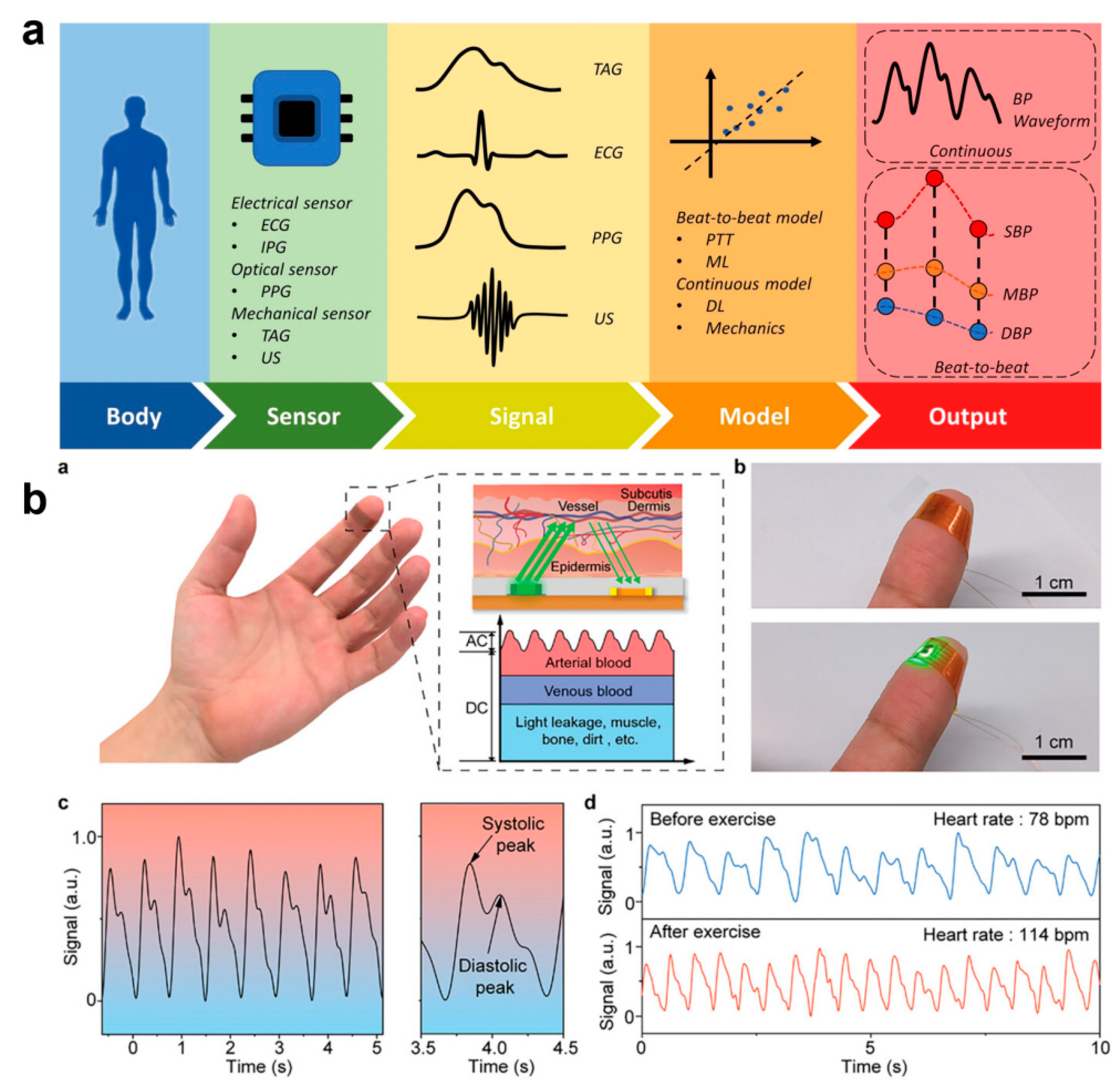 Biomedicines 12 02307 g009
