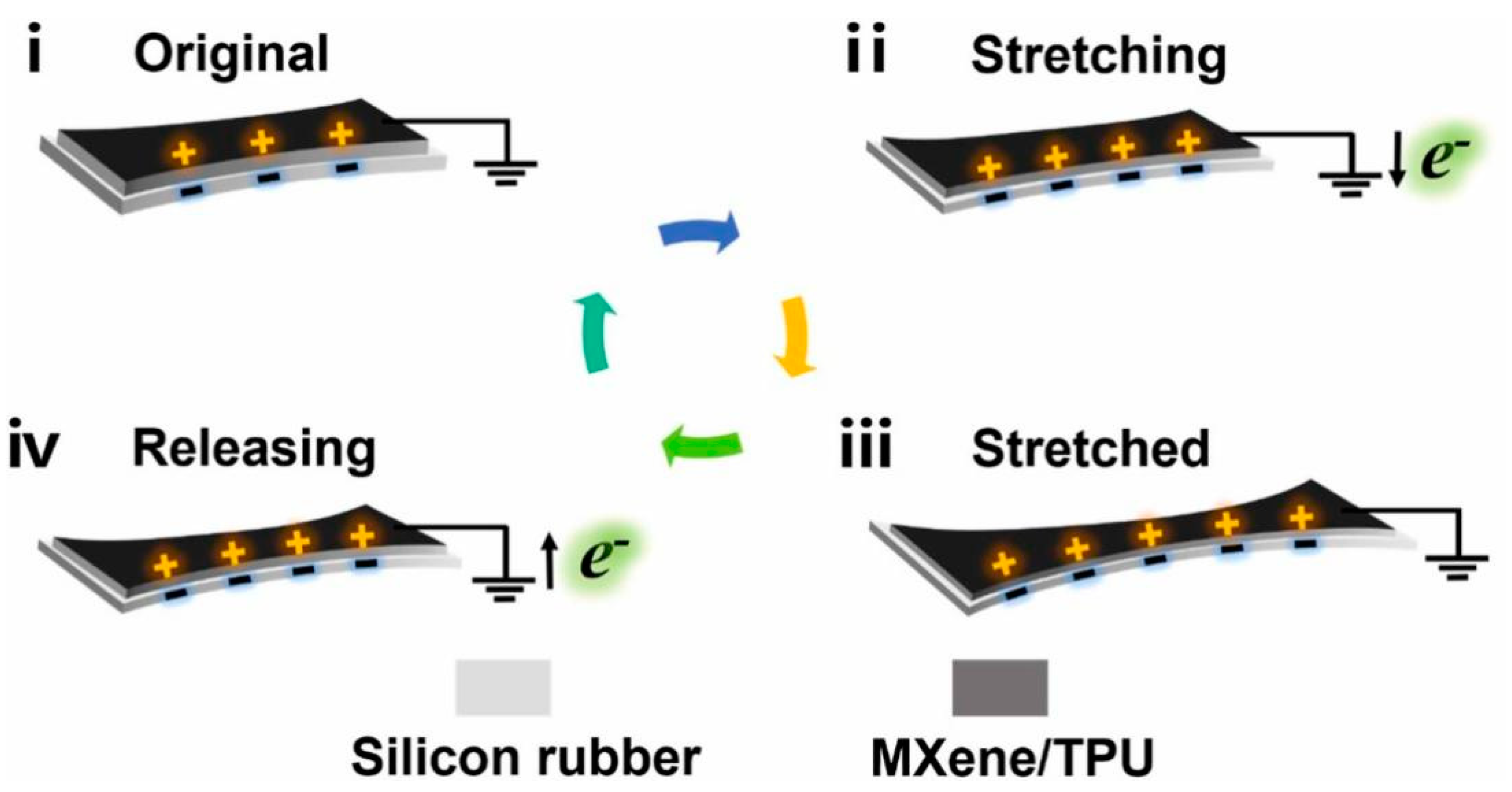 Biomedicines 12 02307 g010