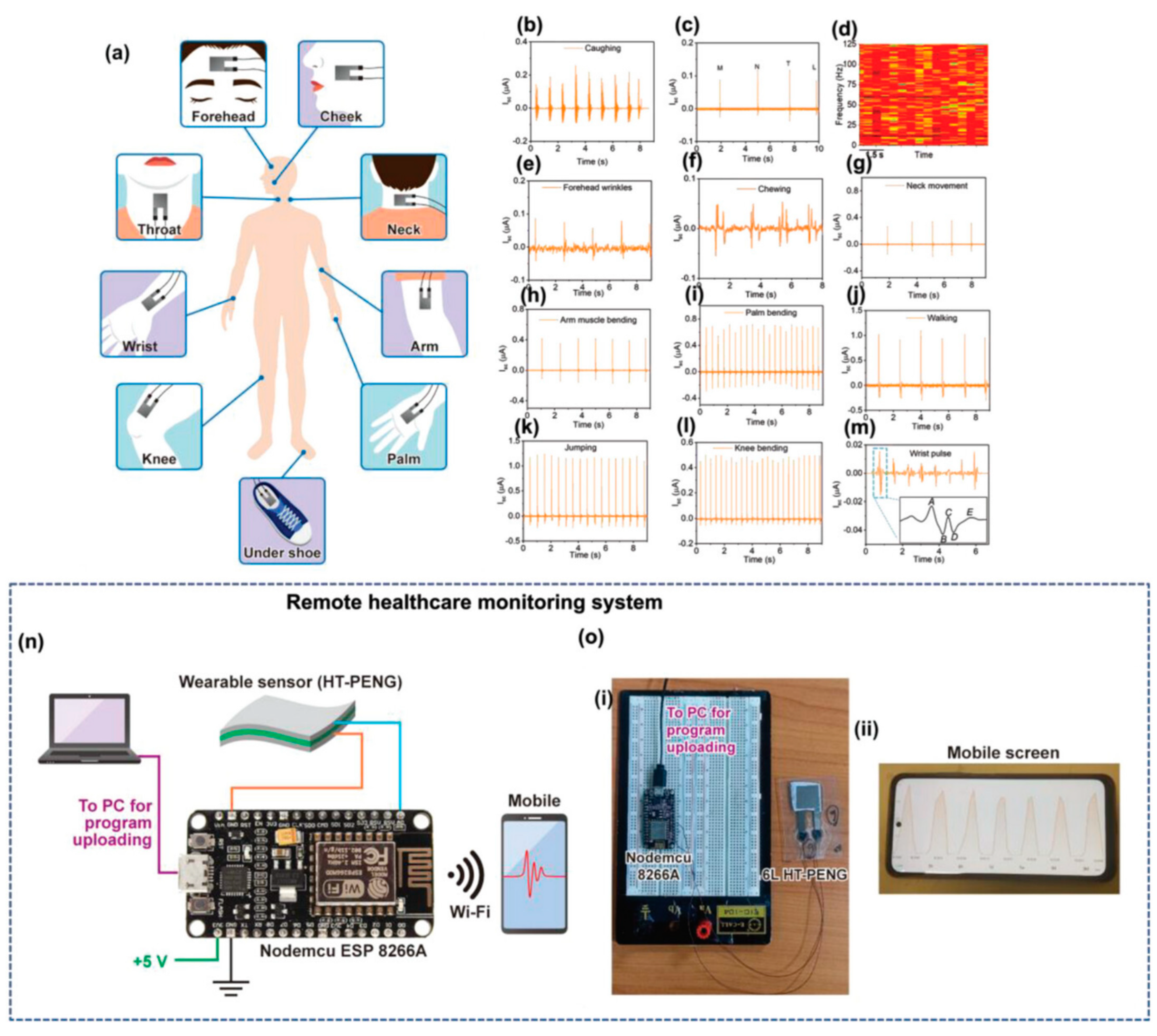 Biomedicines 12 02307 g011