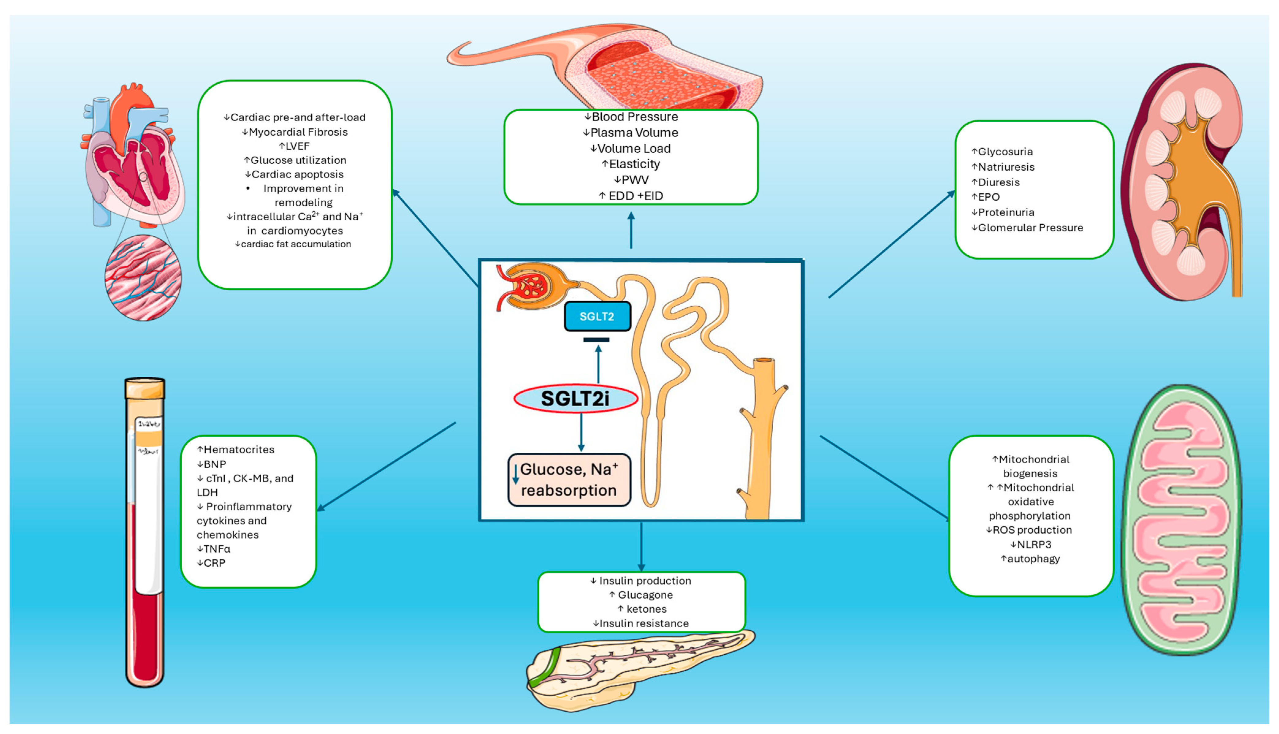 Biomedicines 12 02314 g001
