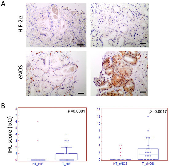 Biomedicines 12 02322 g001