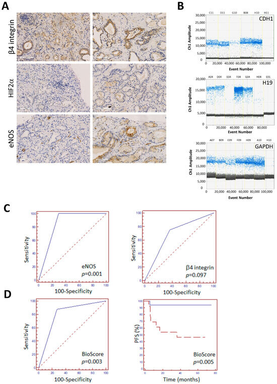 Biomedicines 12 02322 g002