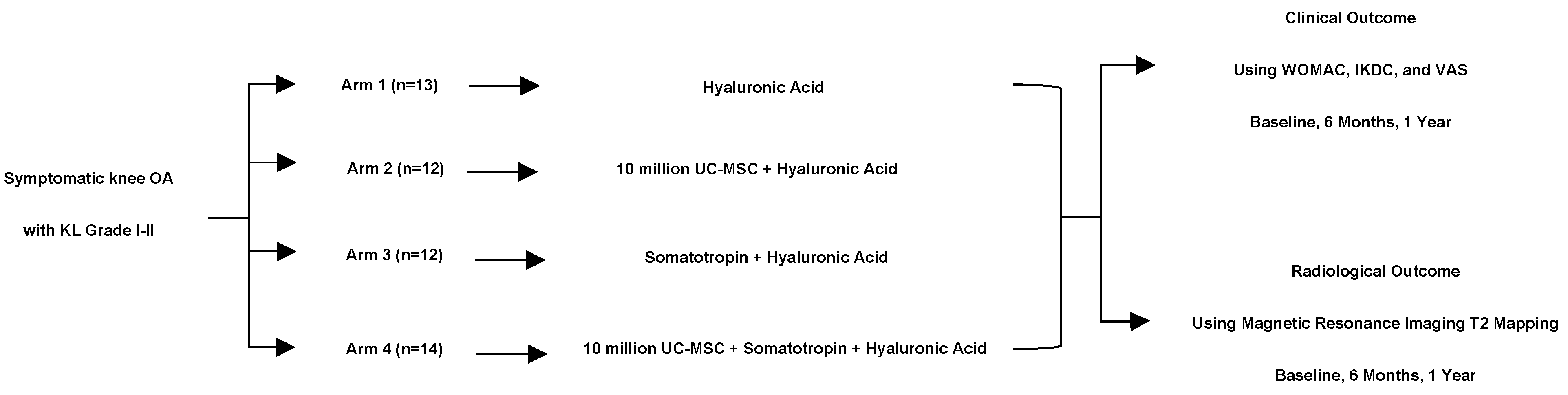 Biomedicines 12 02332 g001 Biomedicines 12 02332 g001