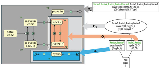 Biomedicines 12 02334 g004
