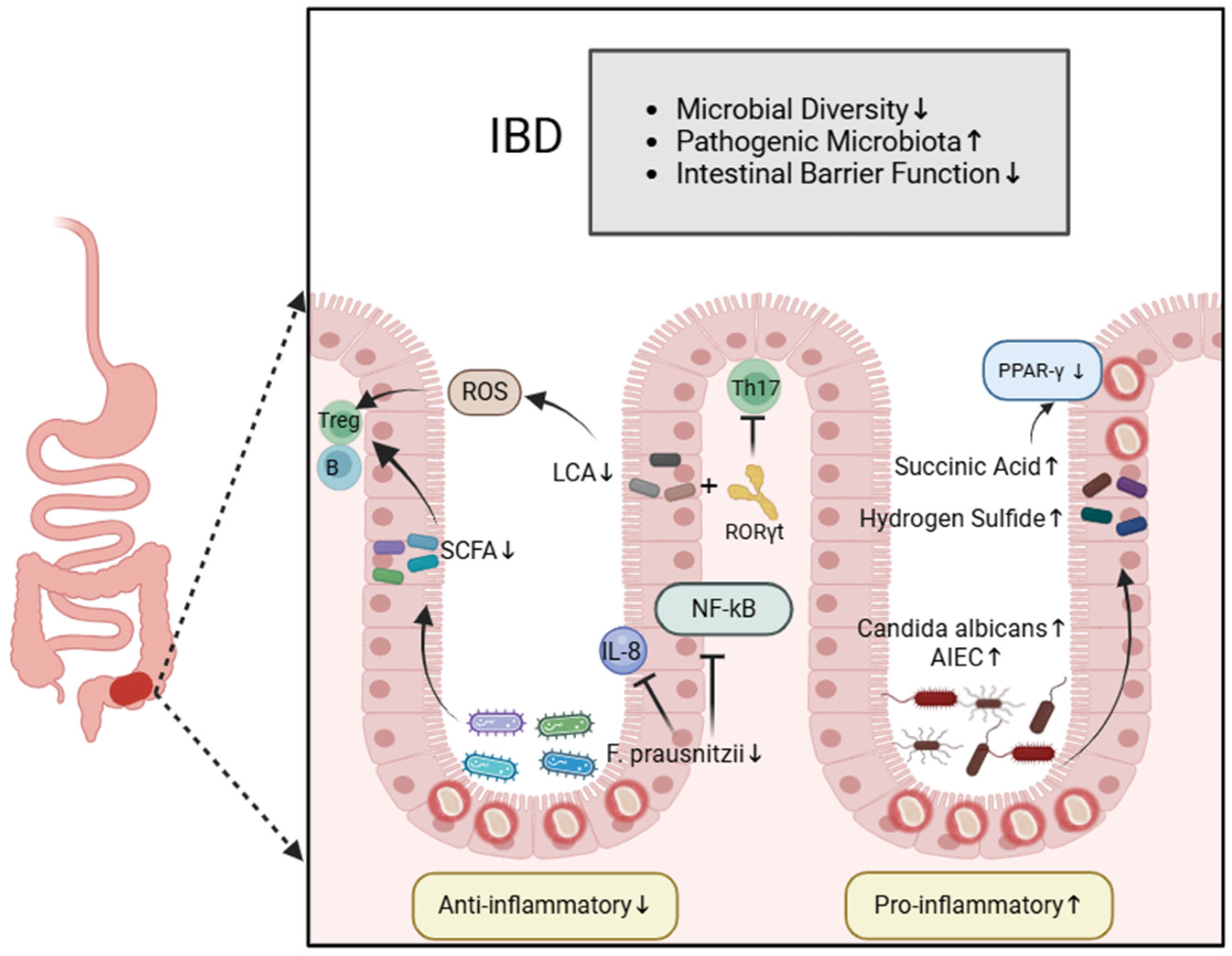 Biomedicines 12 02340 g001