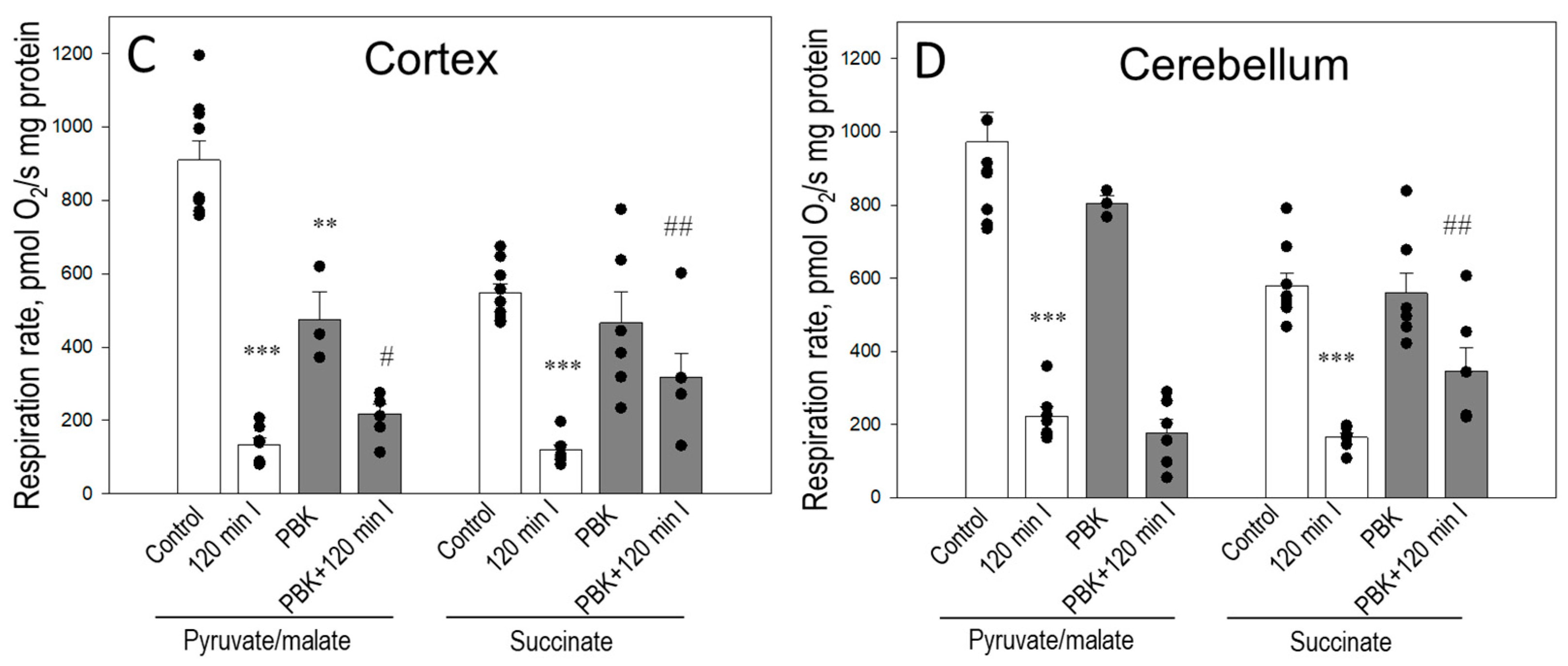 Biomedicines 12 02342 g002b