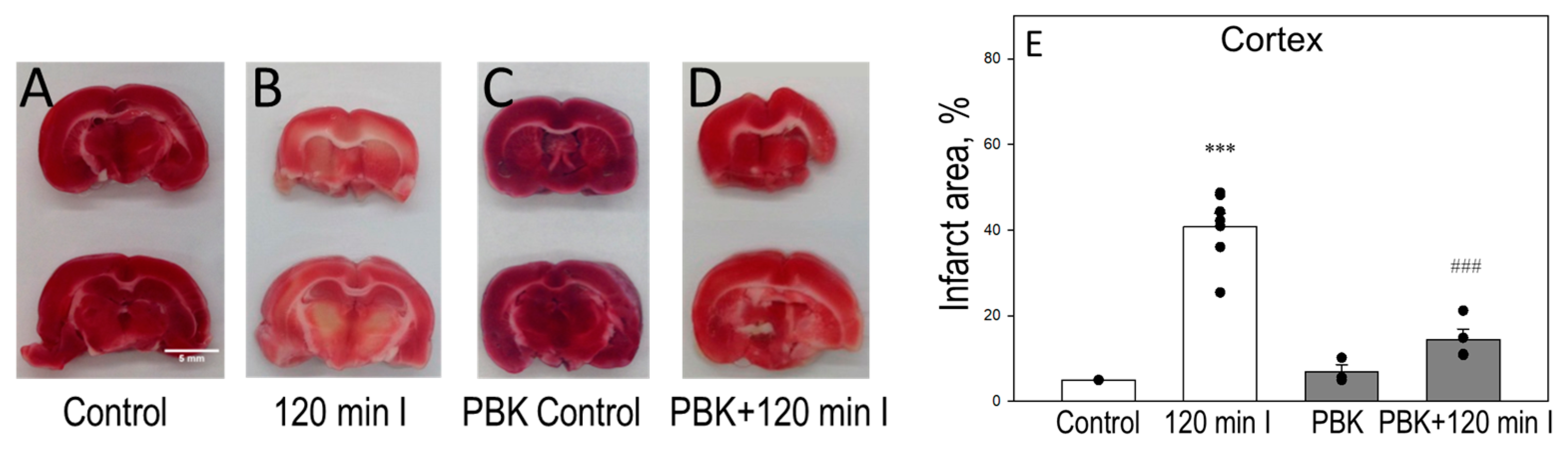 Biomedicines 12 02342 g004
