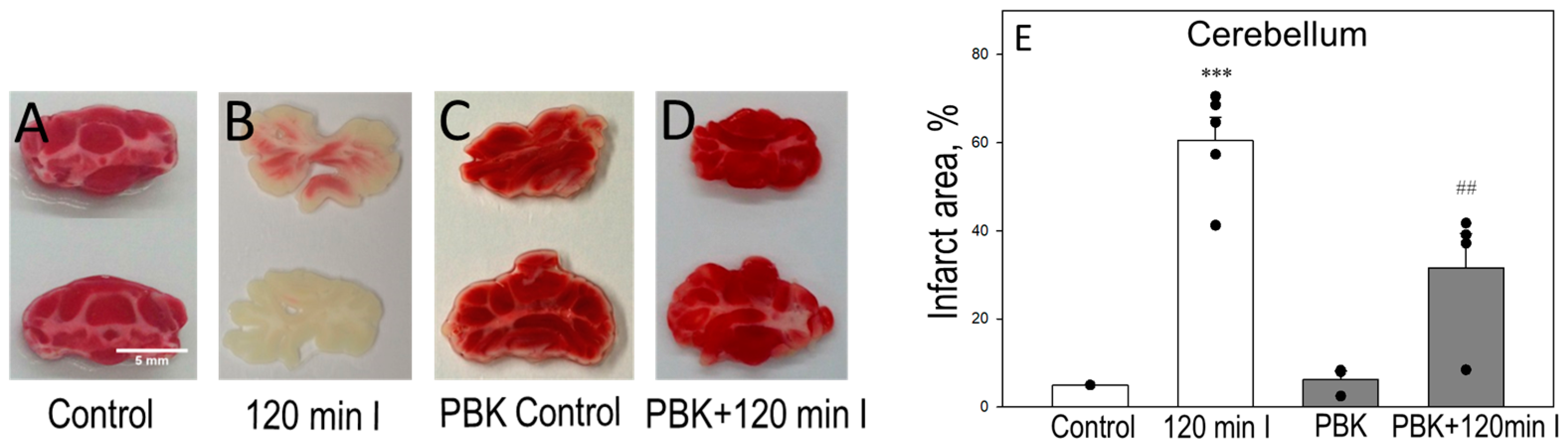 Biomedicines 12 02342 g005