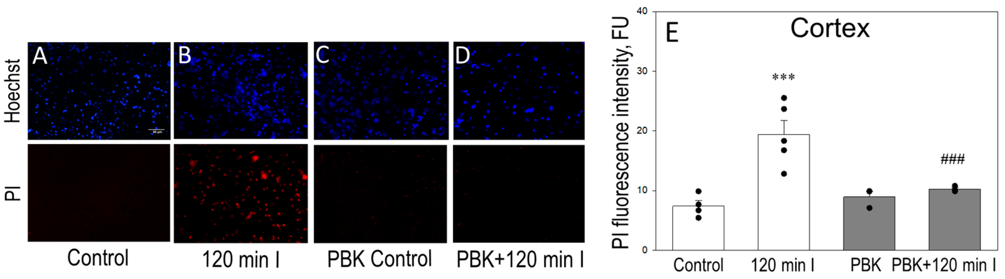 Biomedicines 12 02342 g006