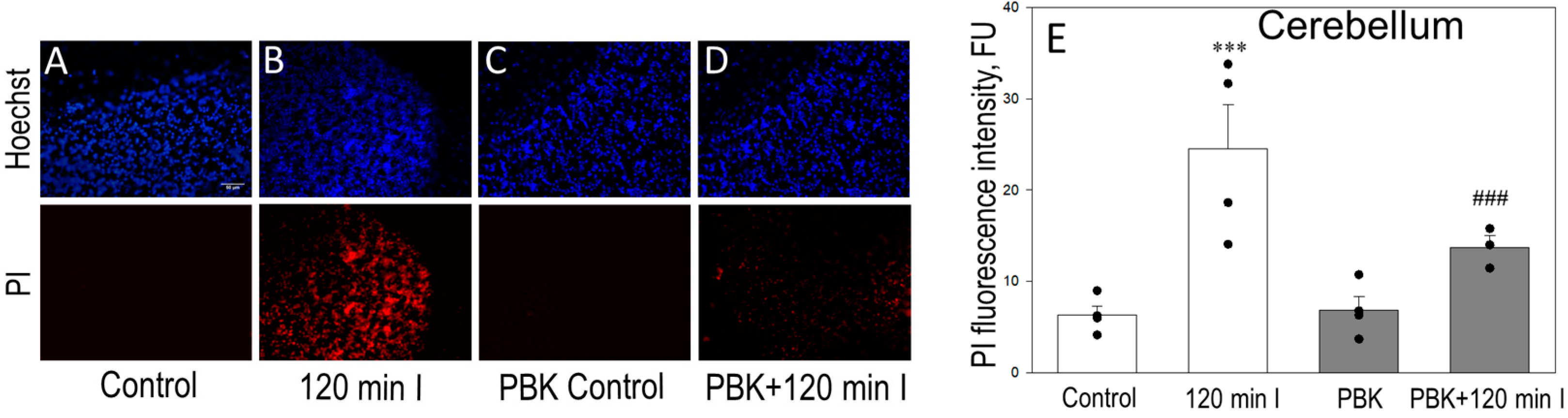 Biomedicines 12 02342 g007