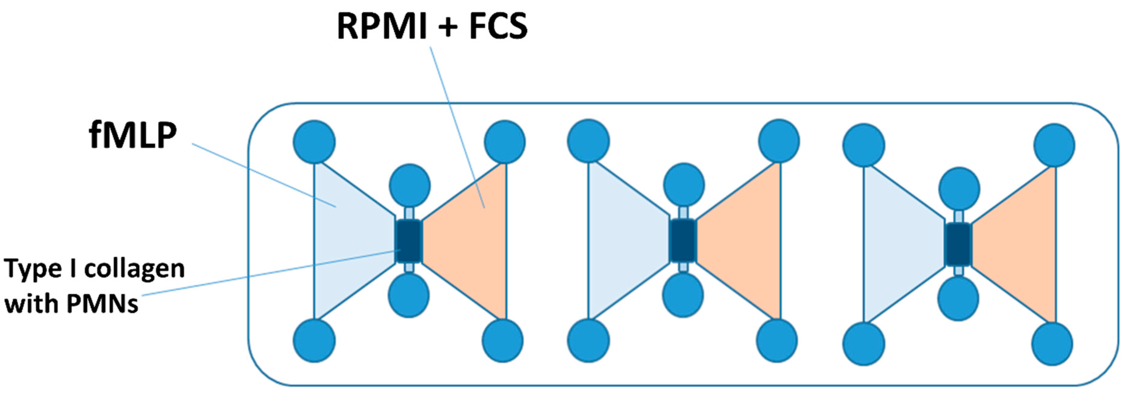 Biomedicines 12 02353 g001