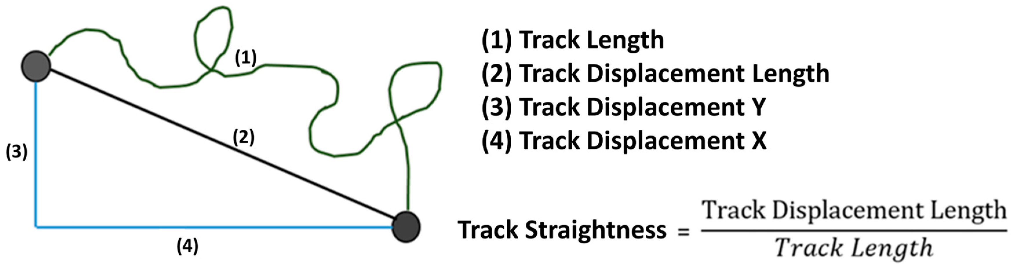 Biomedicines 12 02353 g002