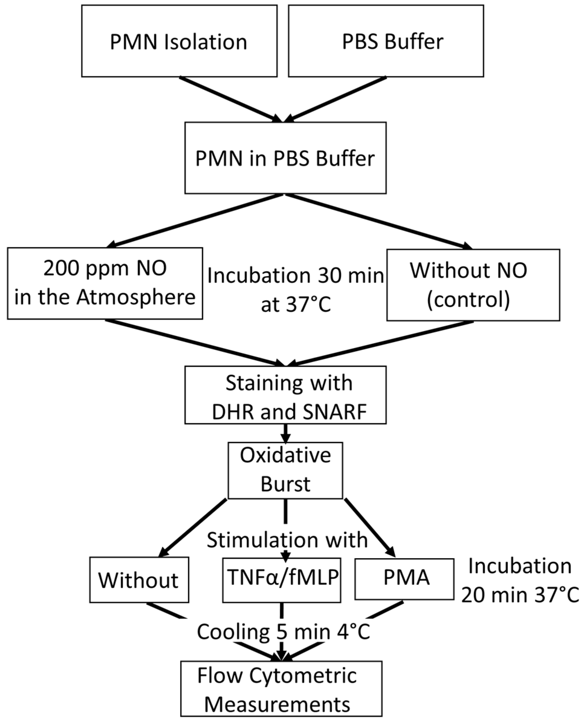 Biomedicines 12 02353 g005