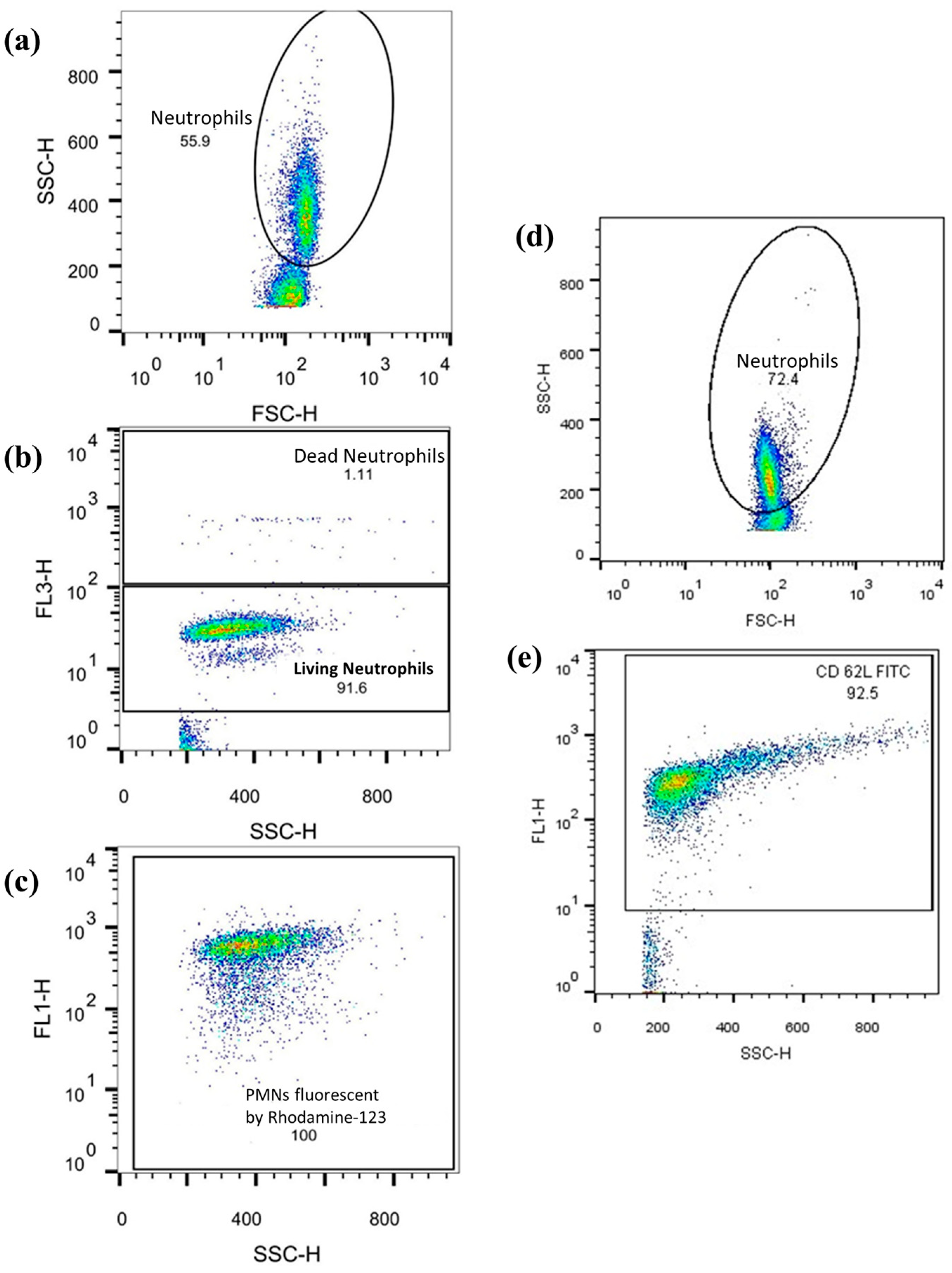 Biomedicines 12 02353 g006