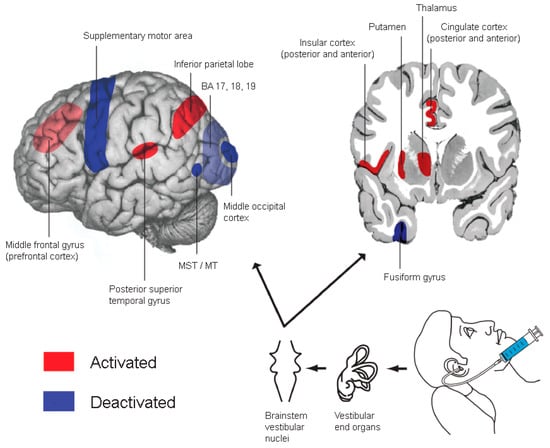 Biomedicines 12 02365 g001