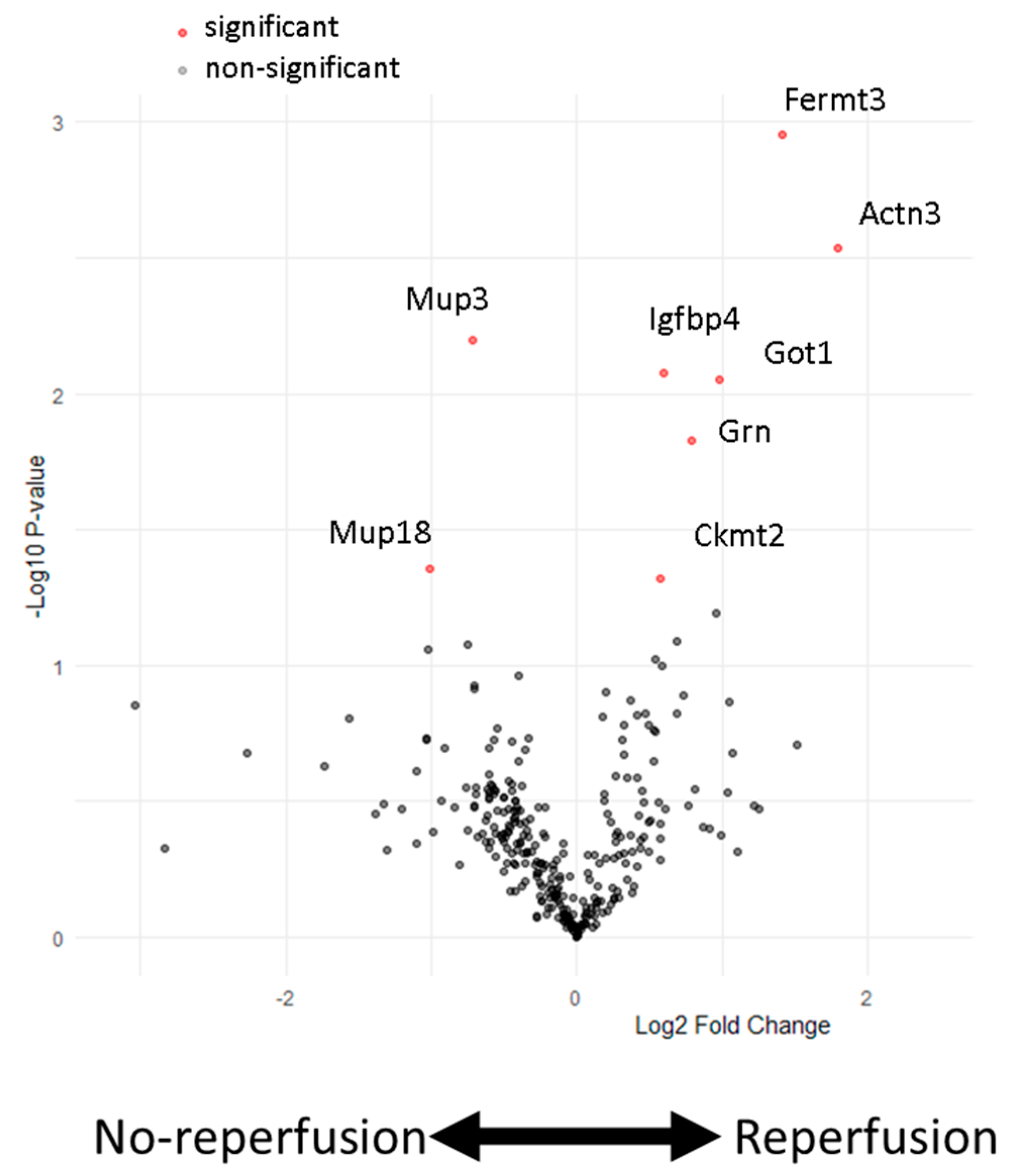 Biomedicines 12 02368 g001