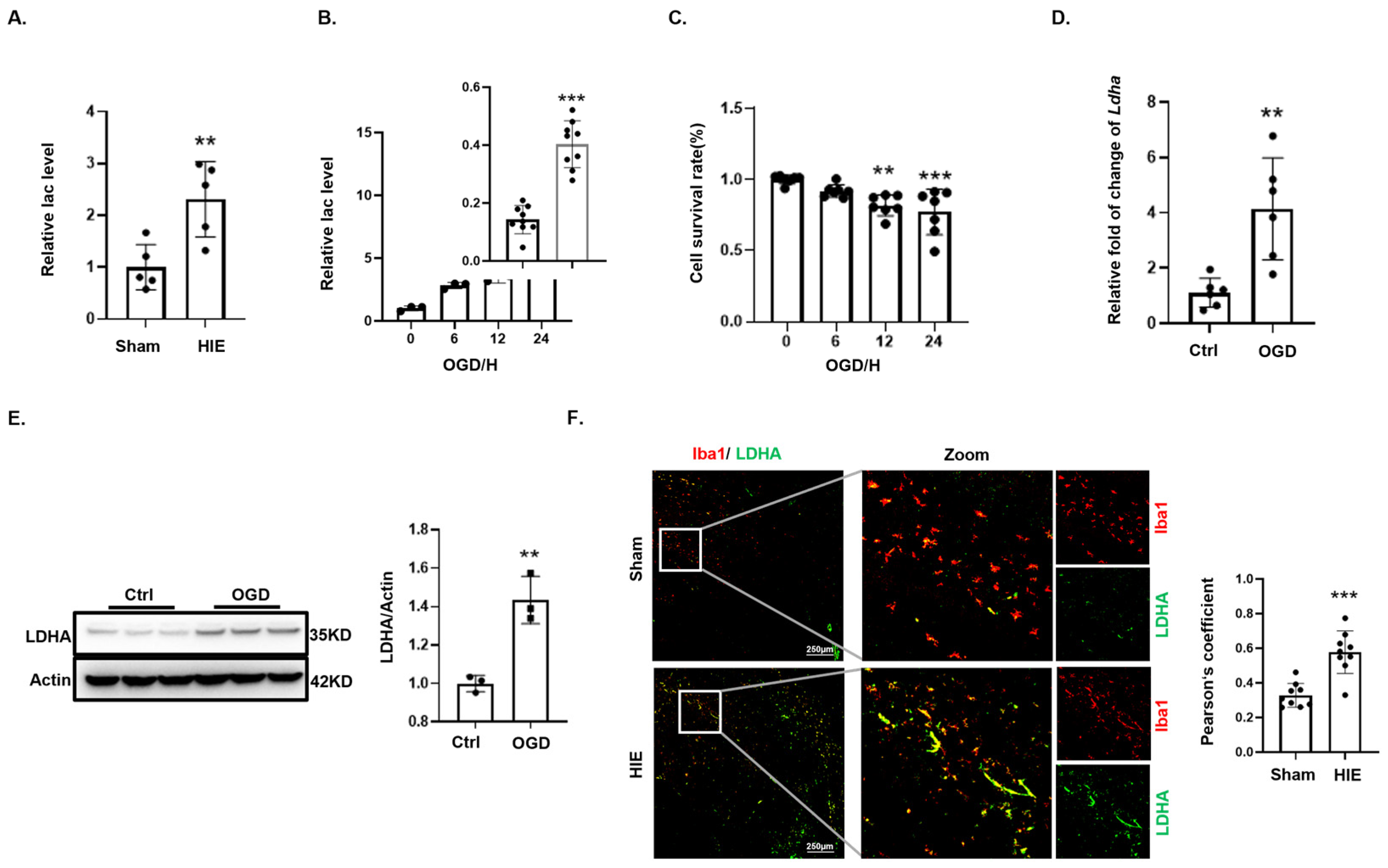 Biomedicines 12 02371 g002 Biomedicines 12 02371 g002