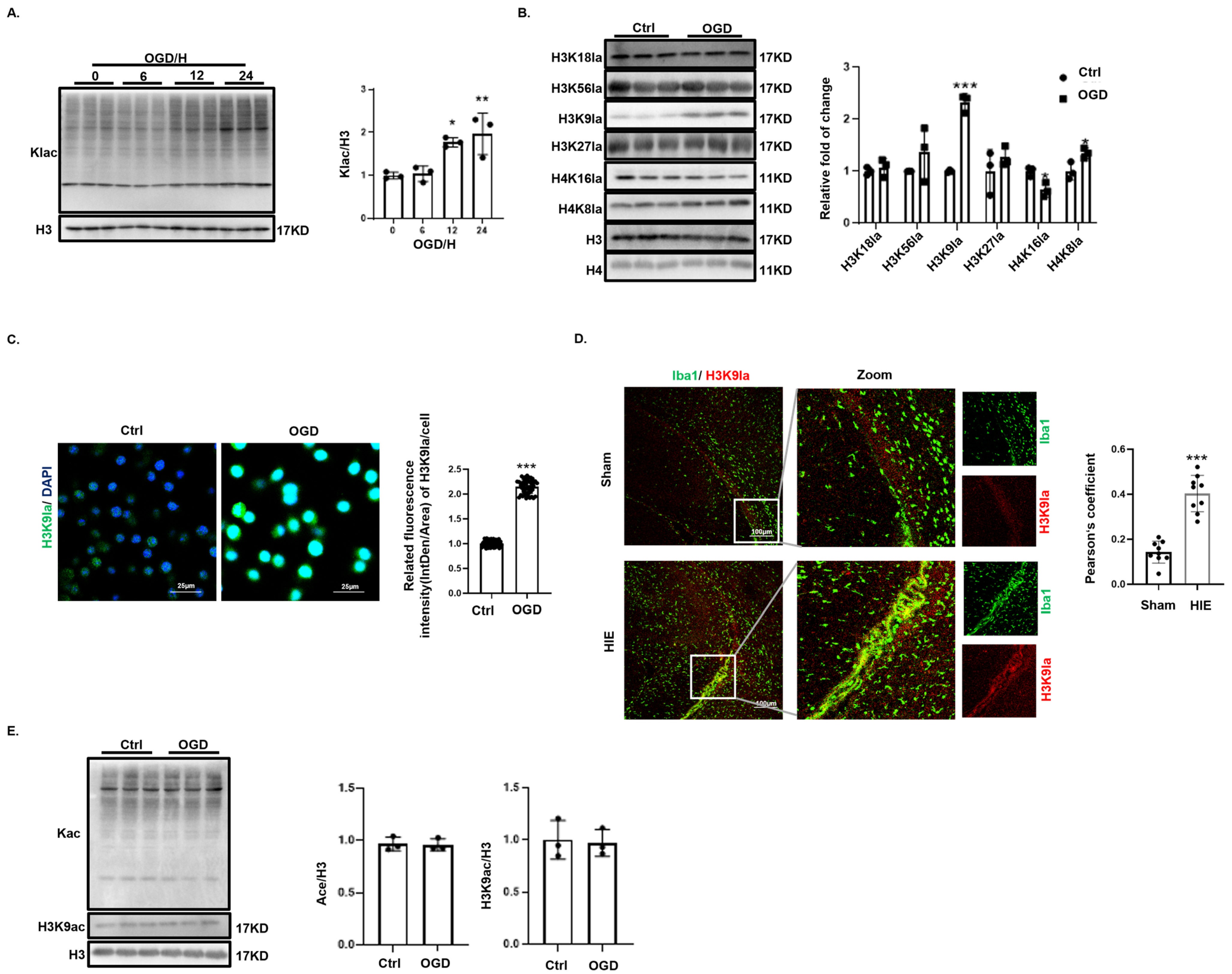 Biomedicines 12 02371 g003 Biomedicines 12 02371 g003