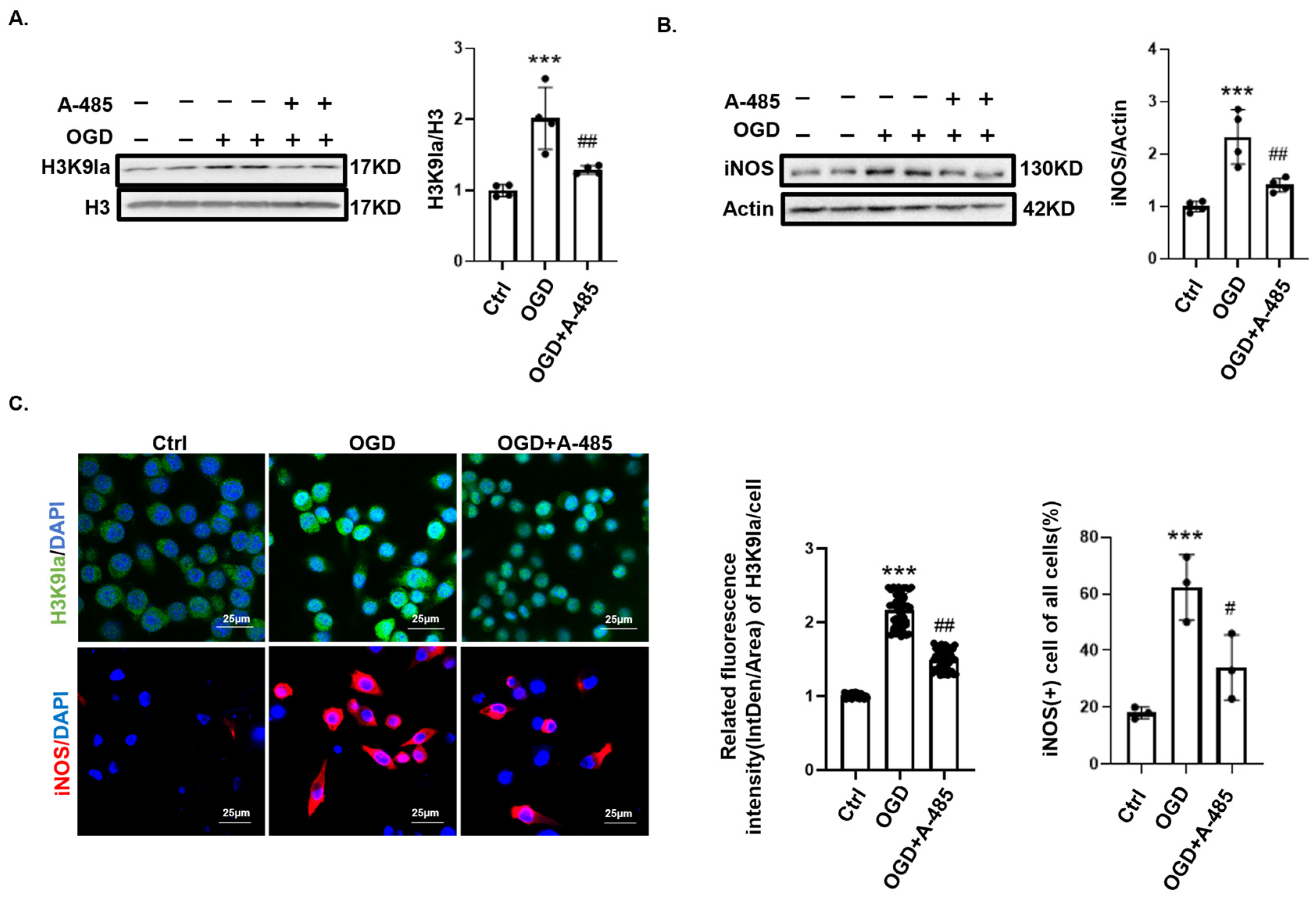 Biomedicines 12 02371 g004 Biomedicines 12 02371 g004