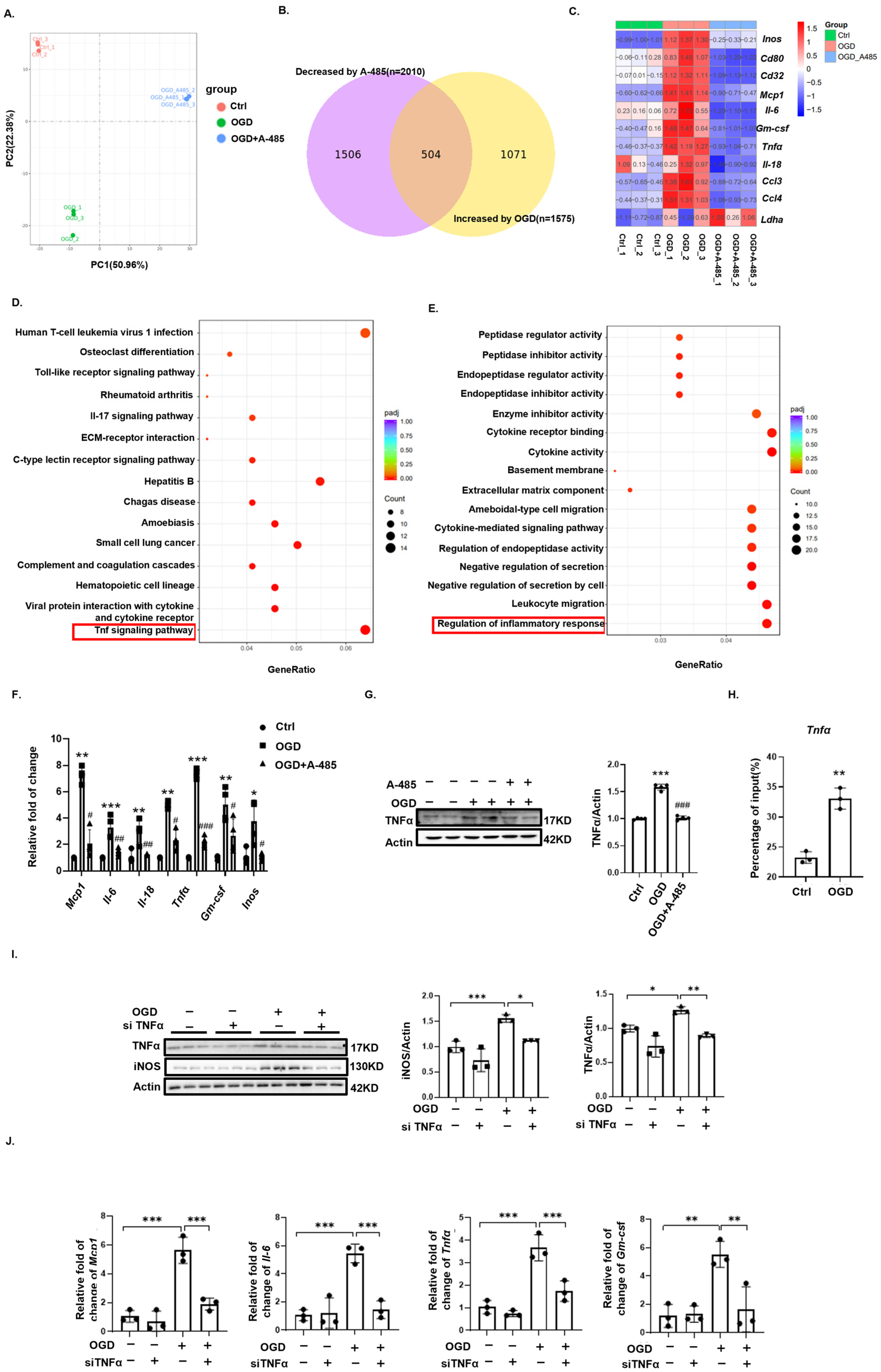 Biomedicines 12 02371 g005 Biomedicines 12 02371 g005