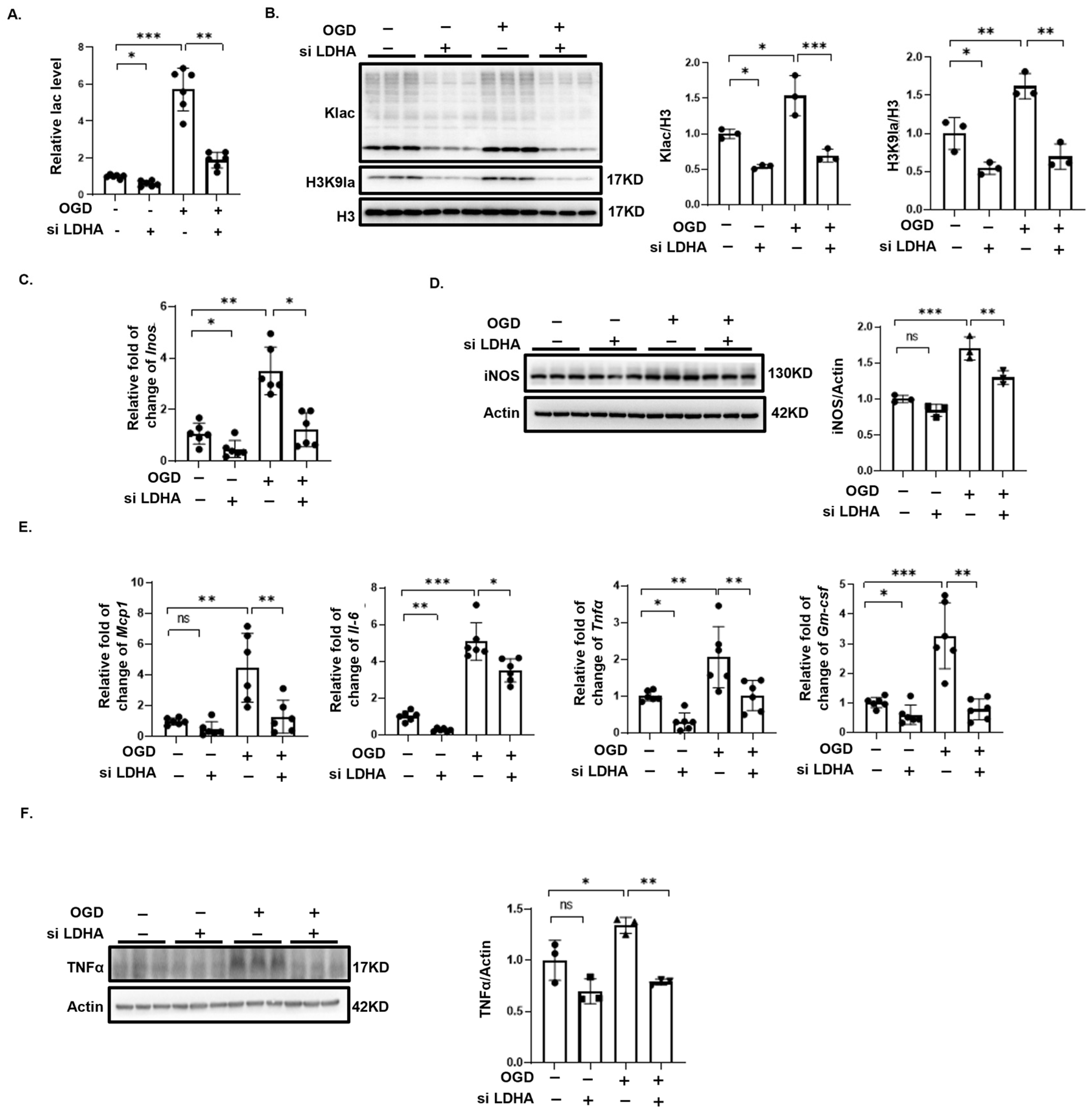 Biomedicines 12 02371 g006 Biomedicines 12 02371 g006