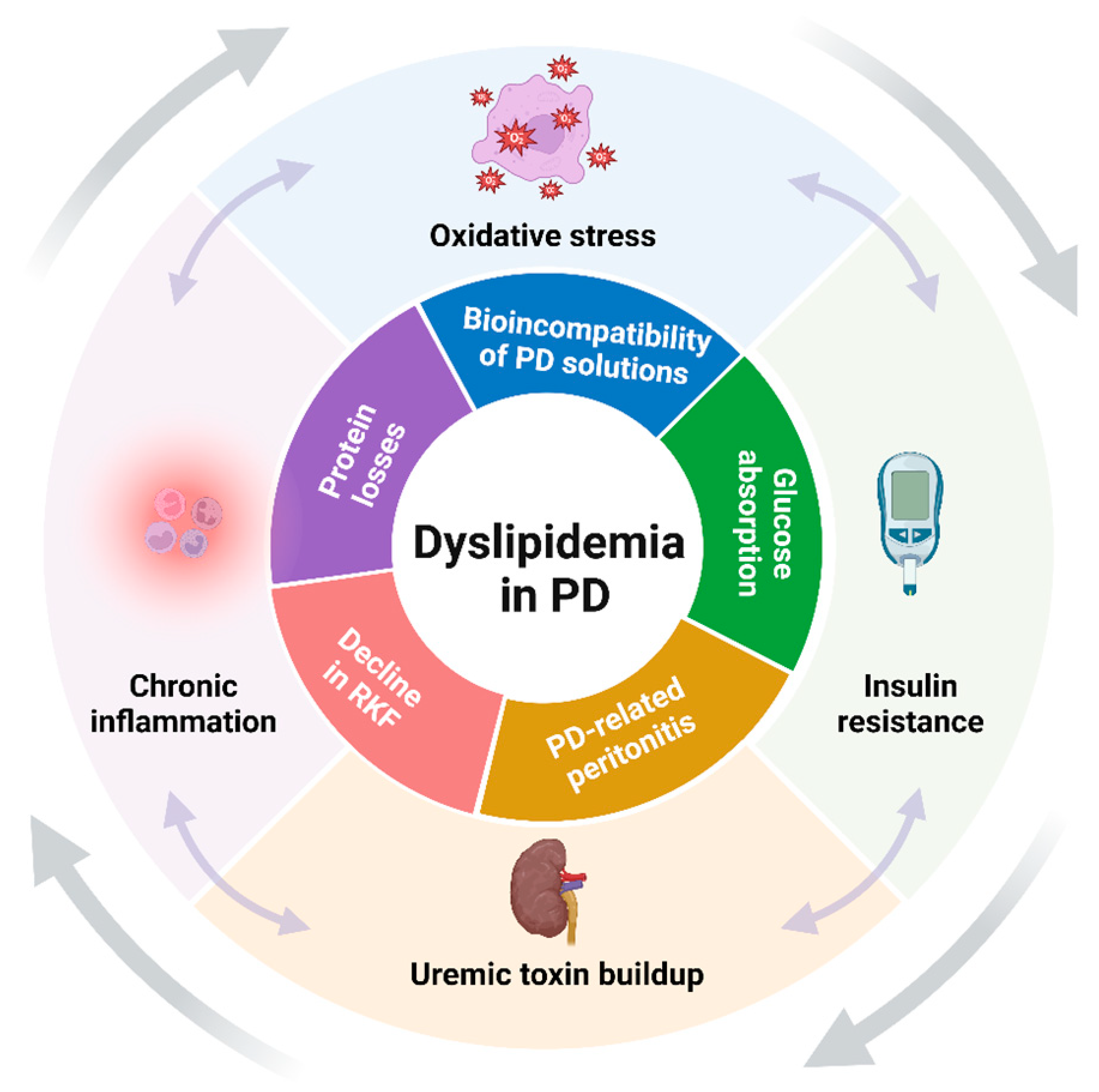 Biomedicines 12 02377 g001