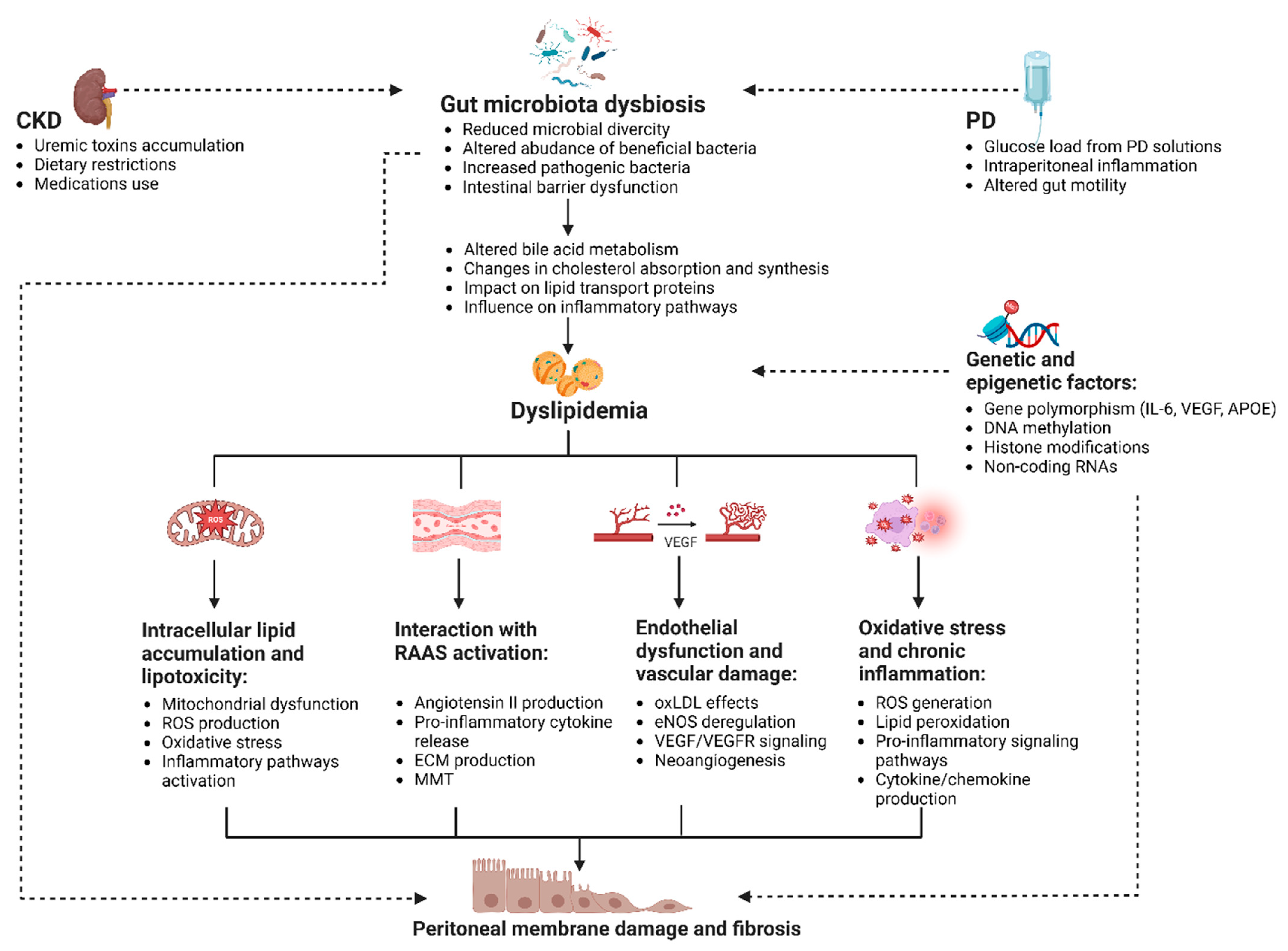 Biomedicines 12 02377 g002