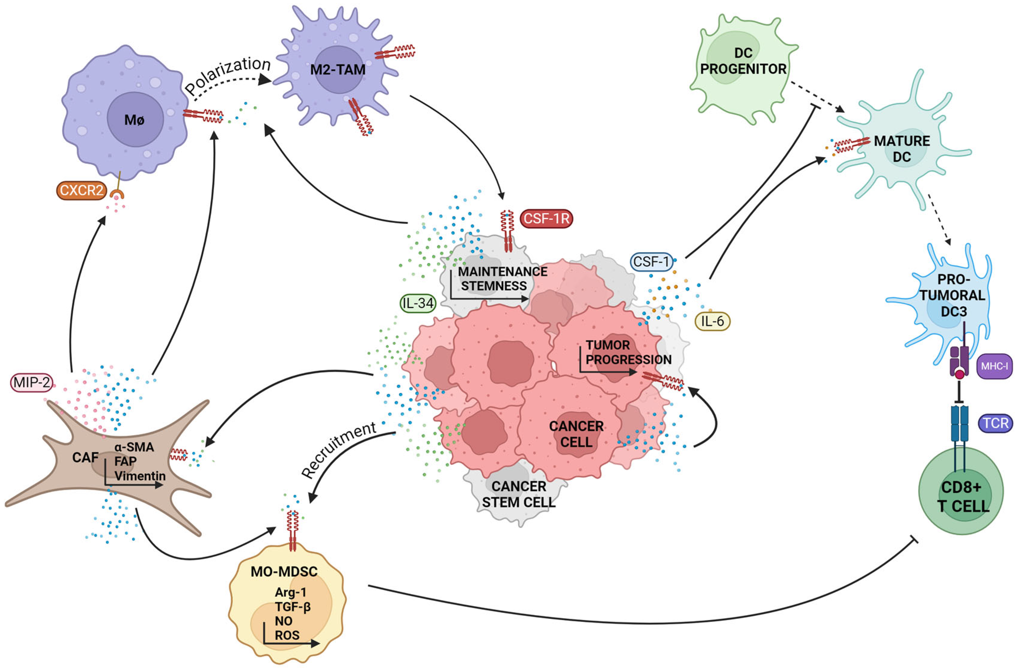 Biomedicines 12 02381 g002
