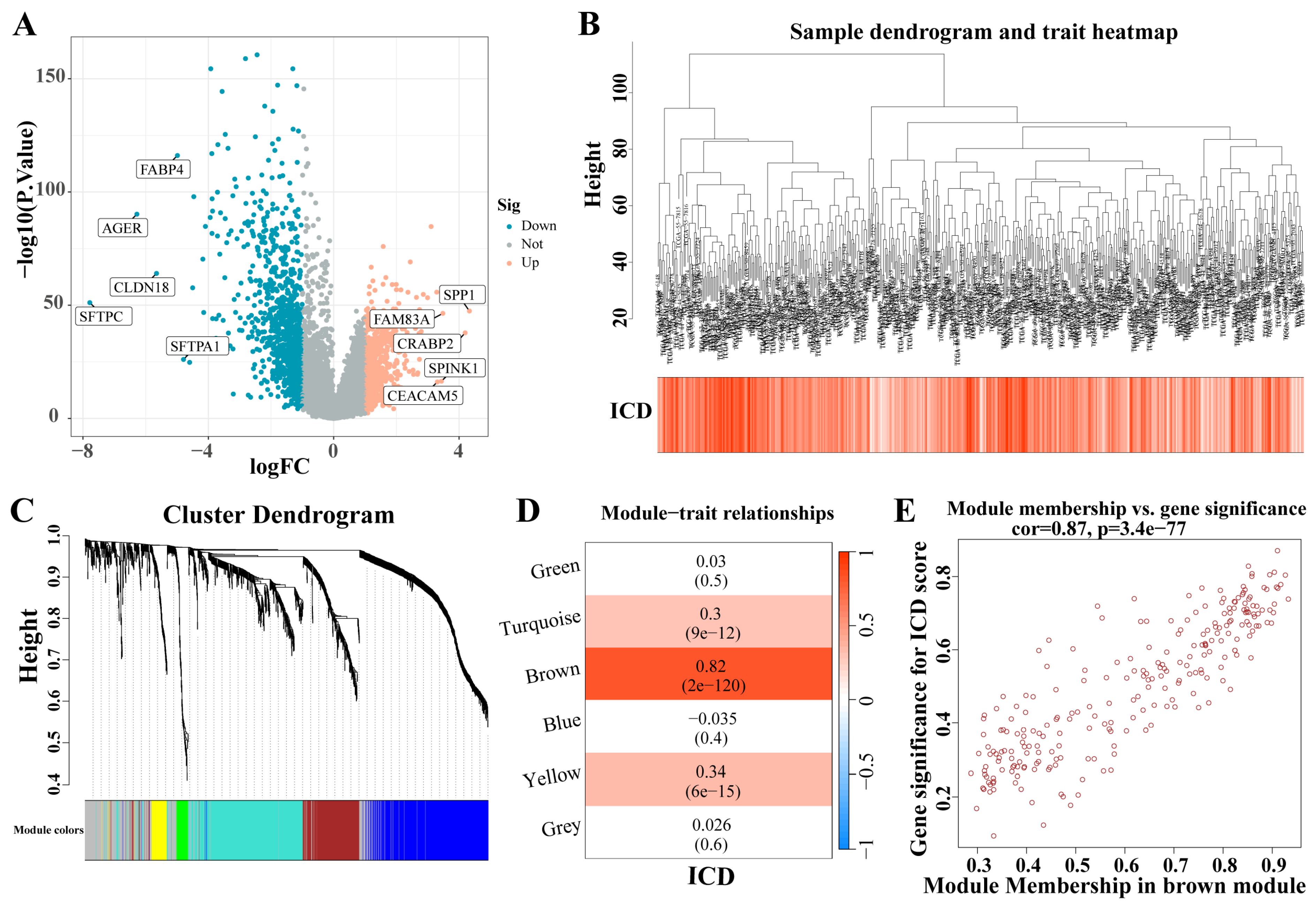 Biomedicines 12 02382 g003