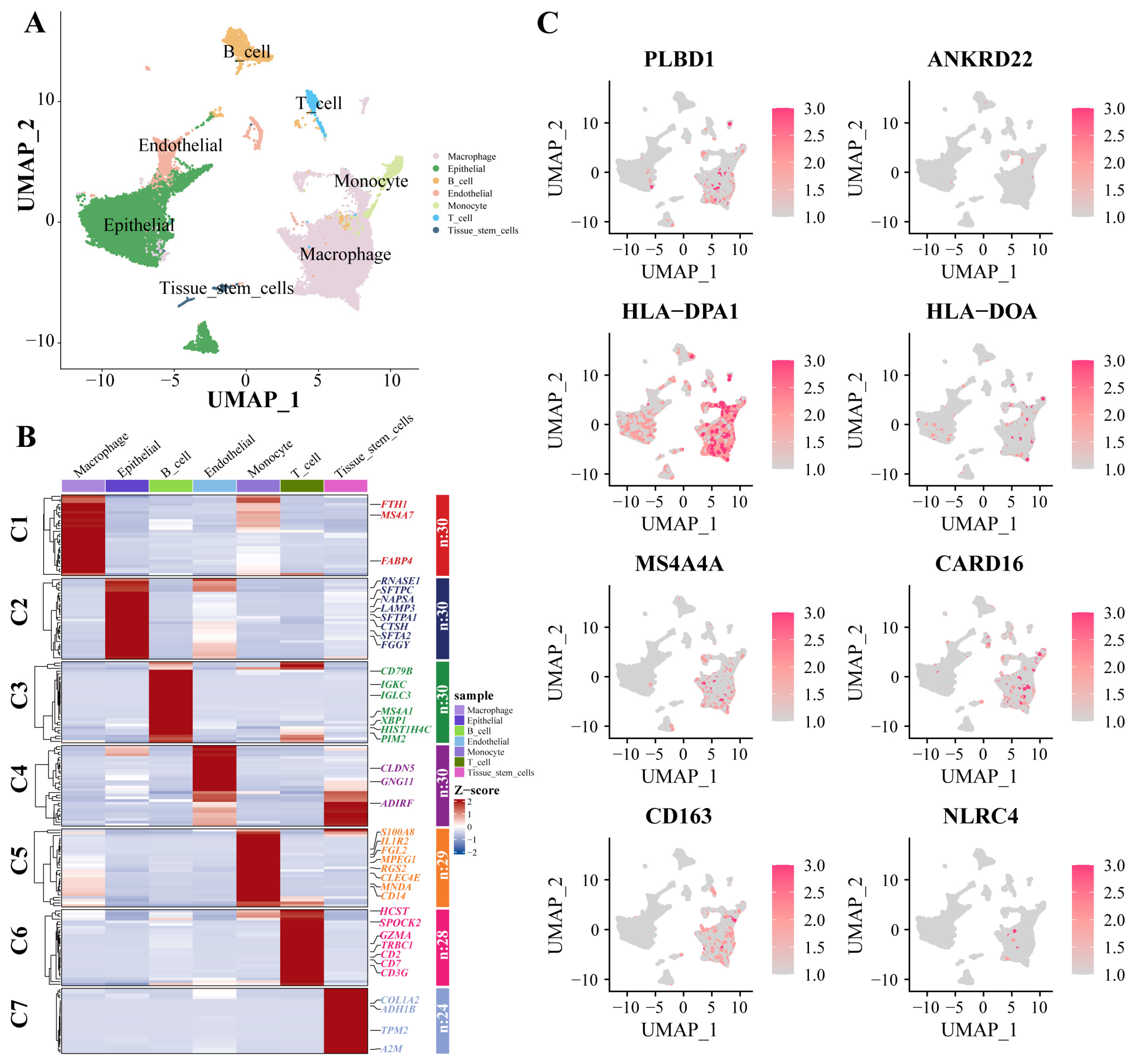 Biomedicines 12 02382 g007