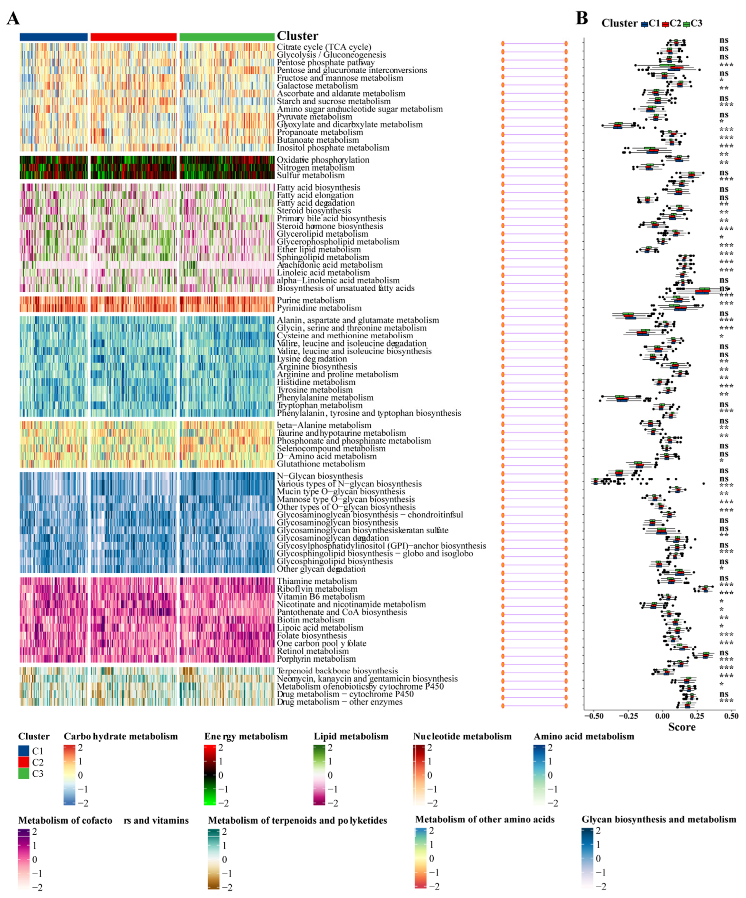 Biomedicines 12 02382 g009