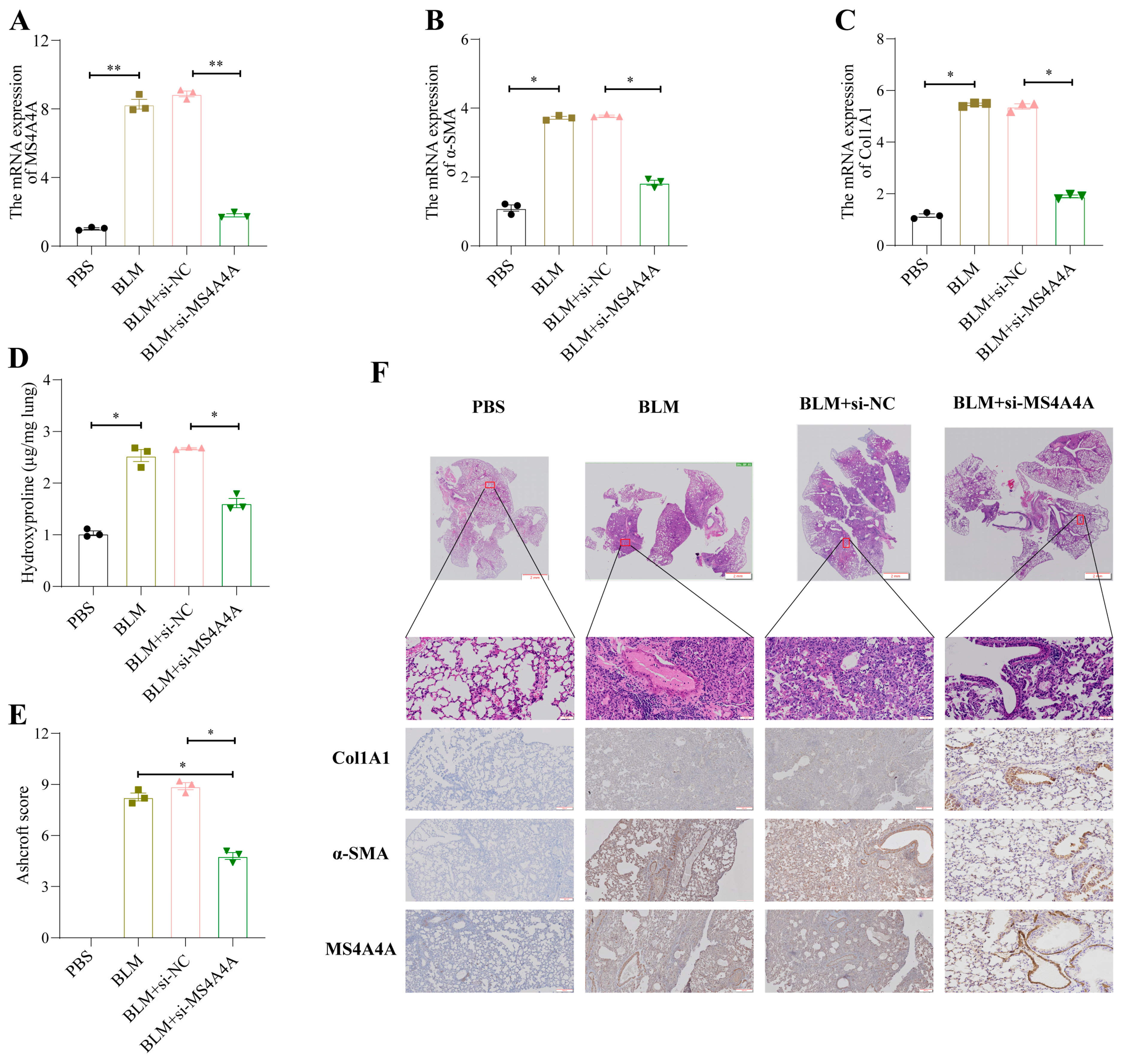 Biomedicines 12 02382 g011