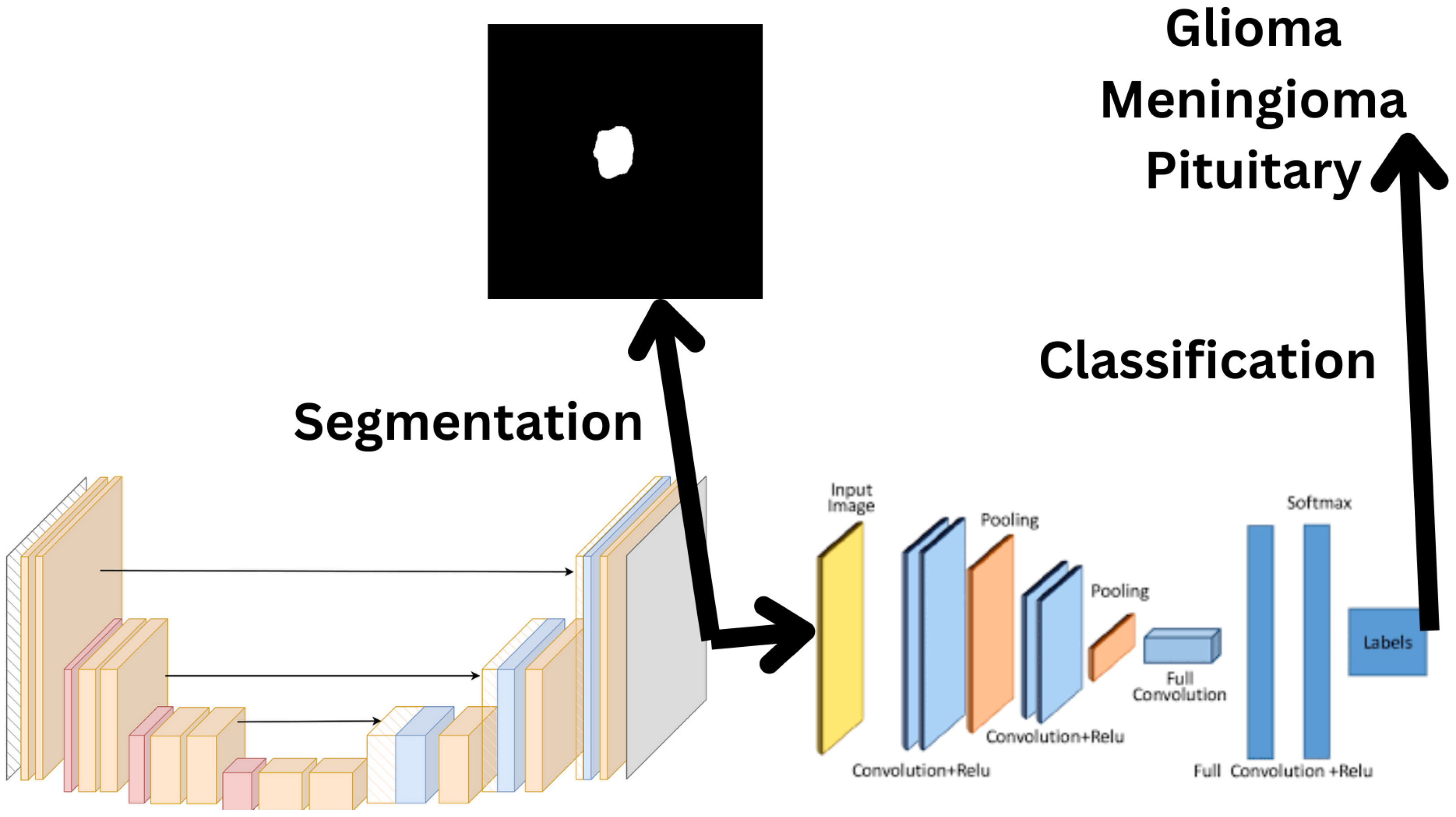 Biomedicines 12 02388 g001