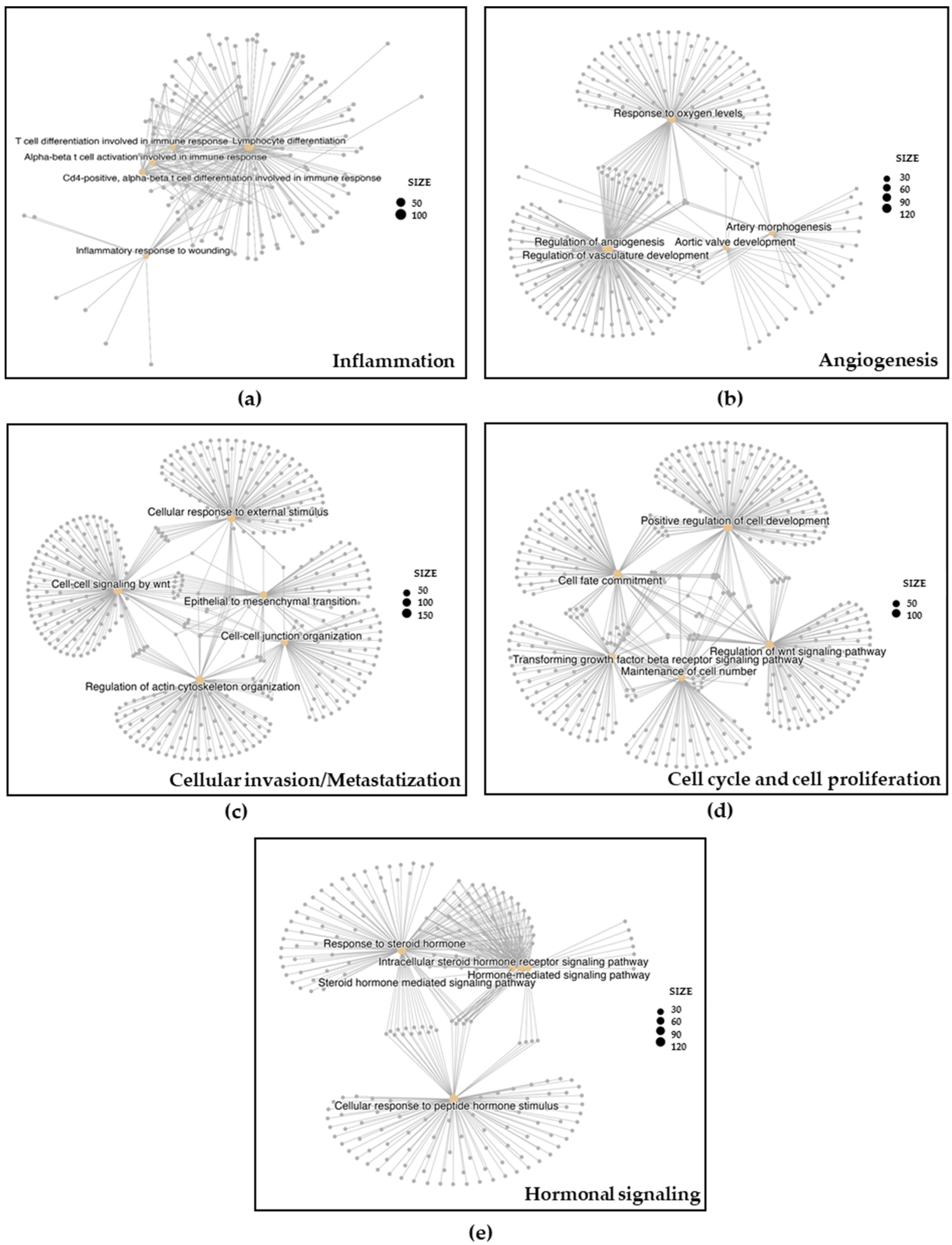 Biomedicines 12 02393 g001