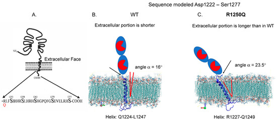 Biomedicines 12 02410 g007