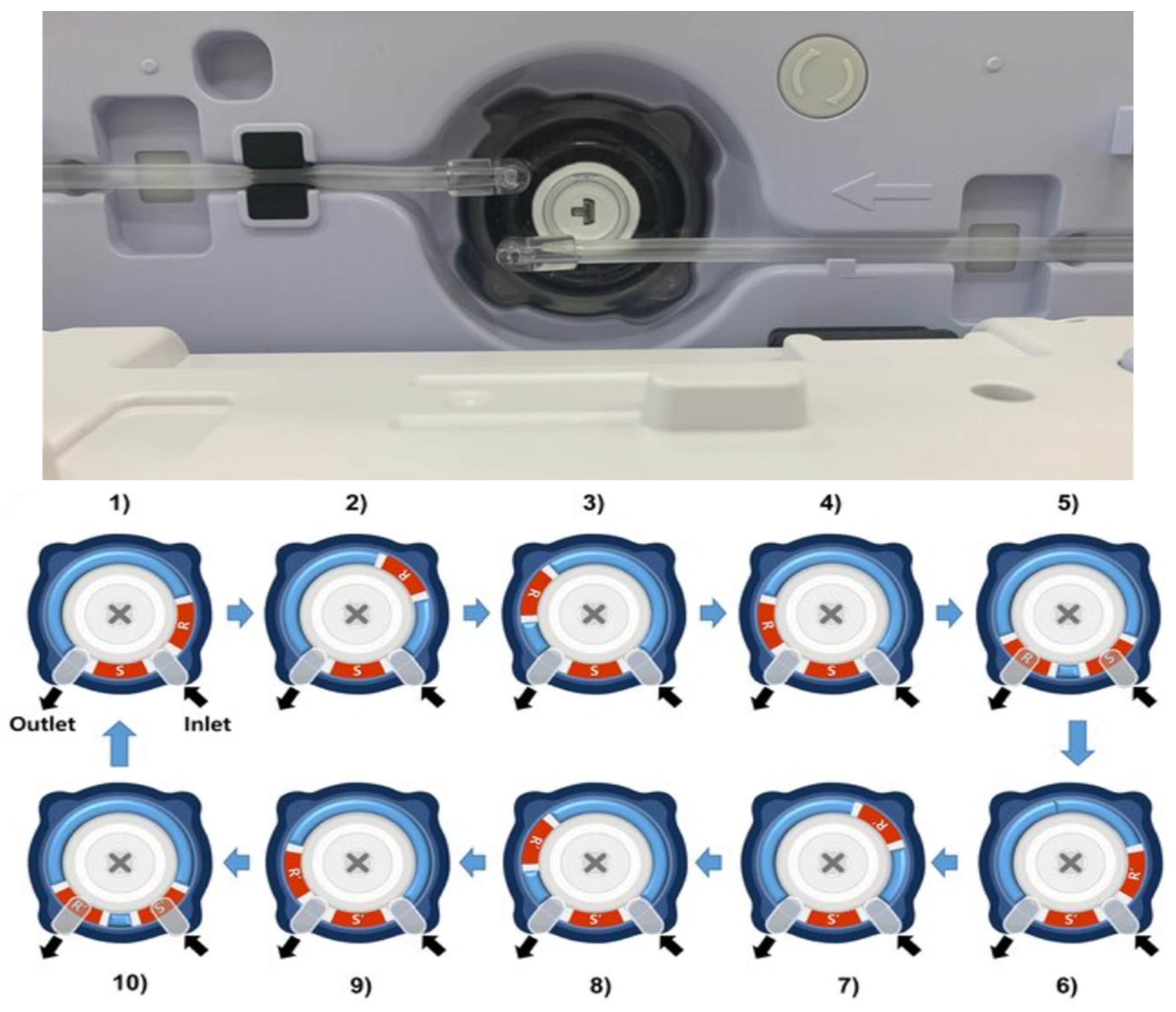 Biomedicines 12 02421 g002