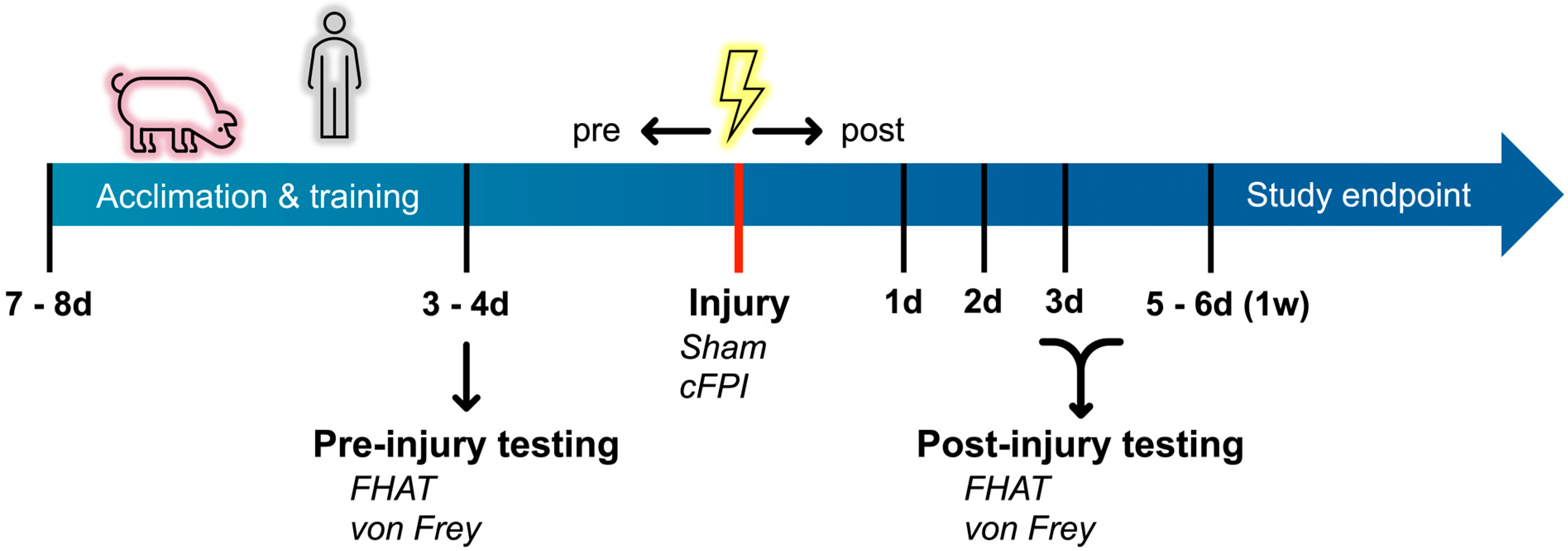 Biomedicines 12 02427 g001