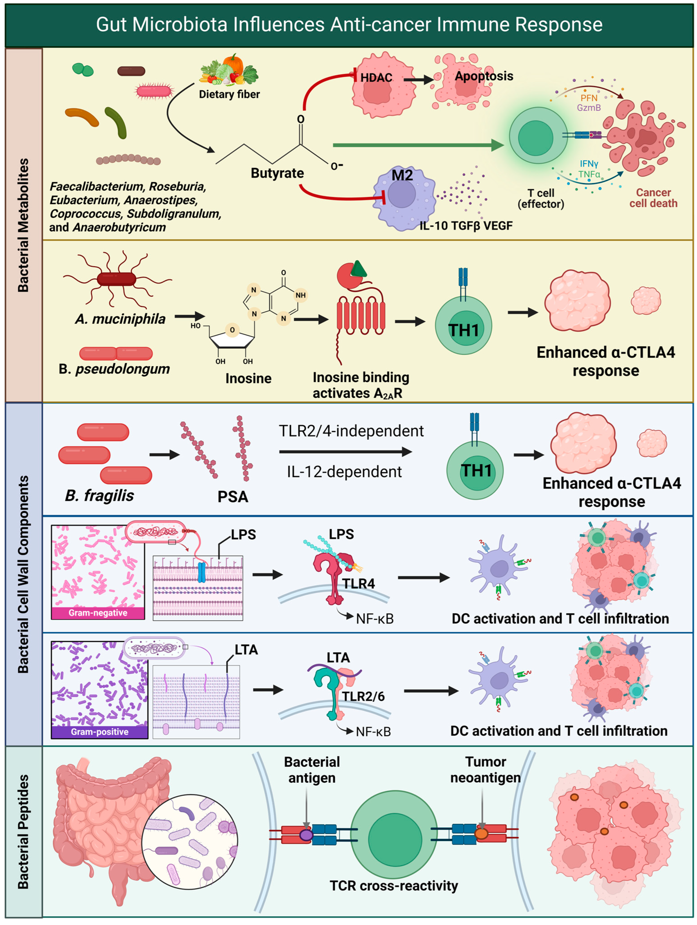 Biomedicines 12 02429 g001 Biomedicines 12 02429 g001