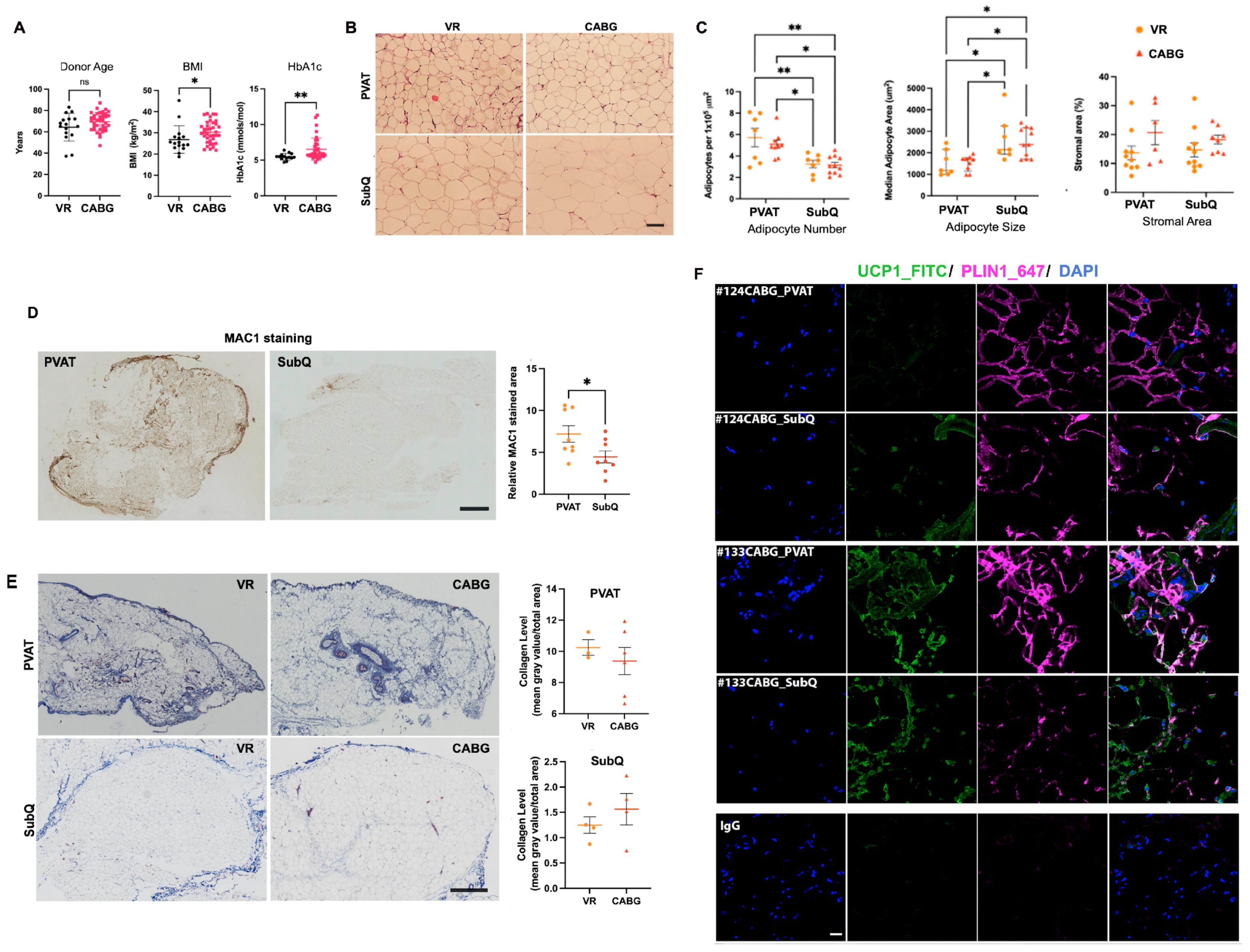 Biomedicines 12 02453 g001