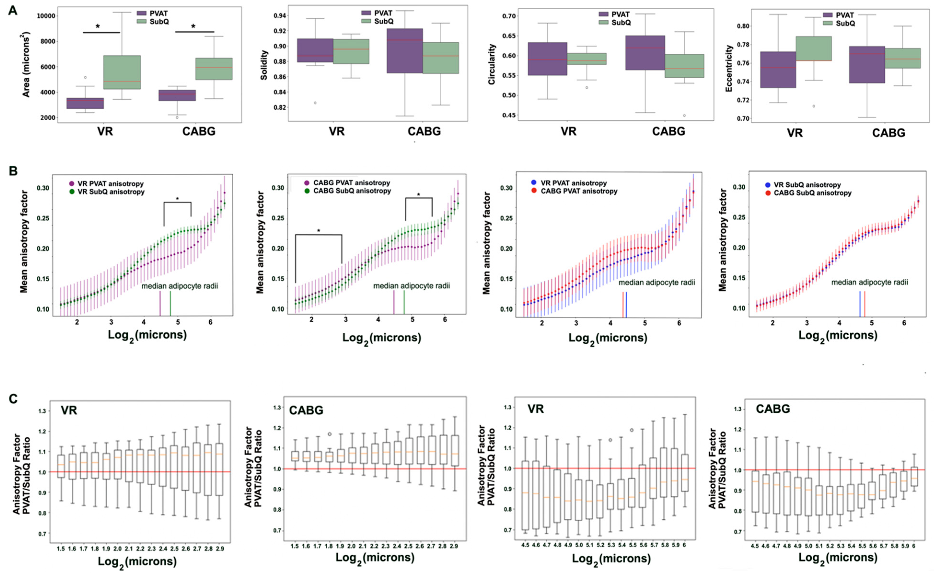 Biomedicines 12 02453 g002