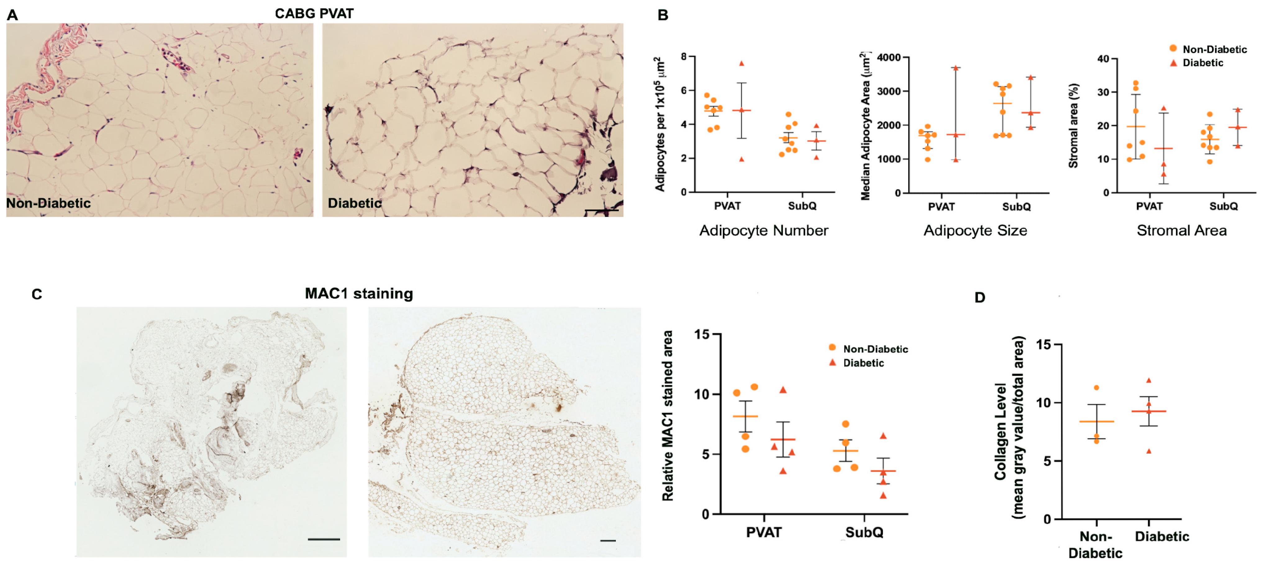 Biomedicines 12 02453 g003