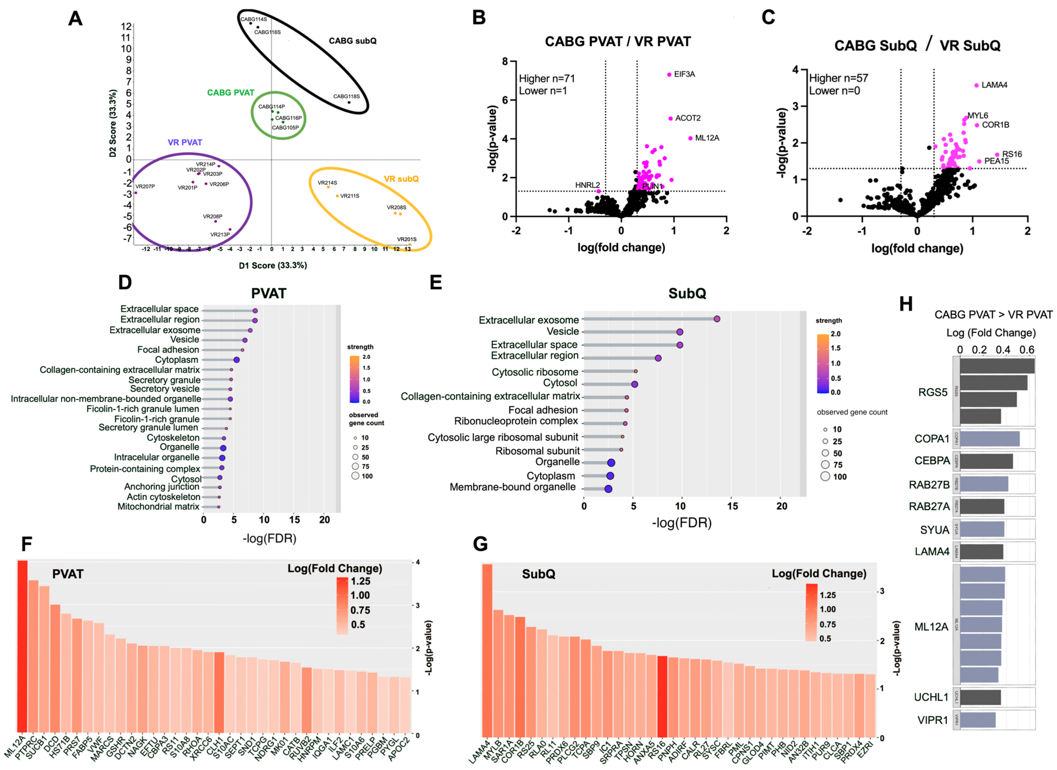 Biomedicines 12 02453 g004