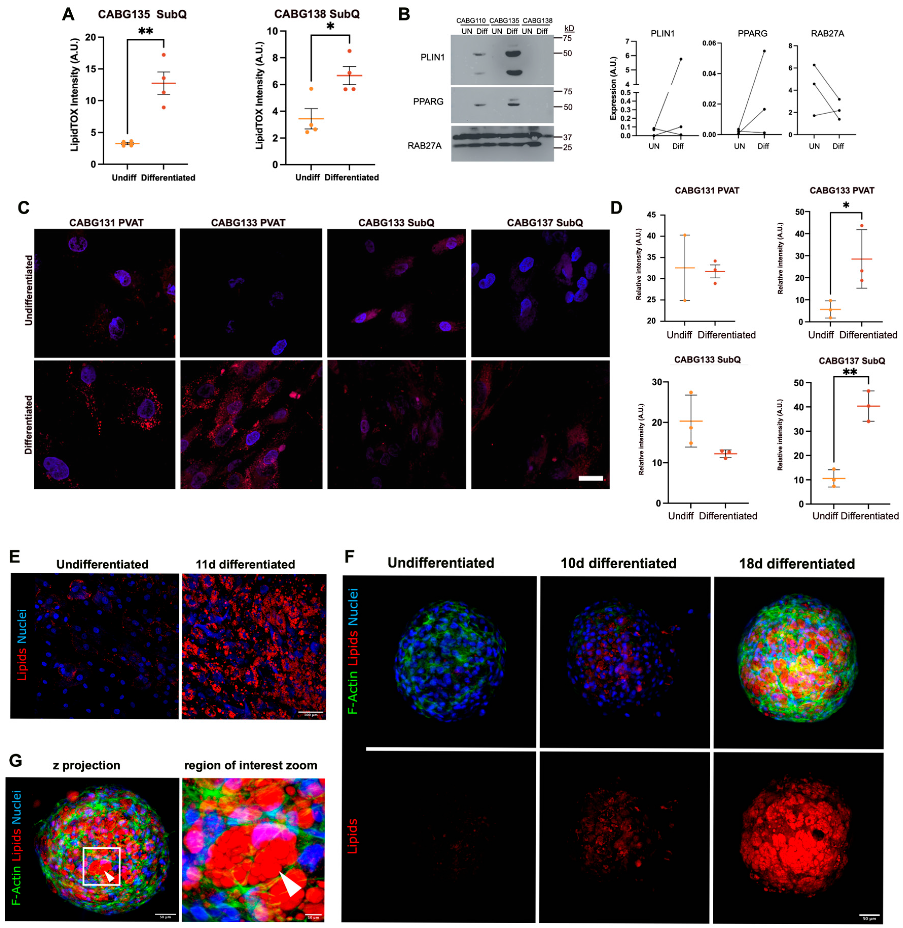 Biomedicines 12 02453 g007