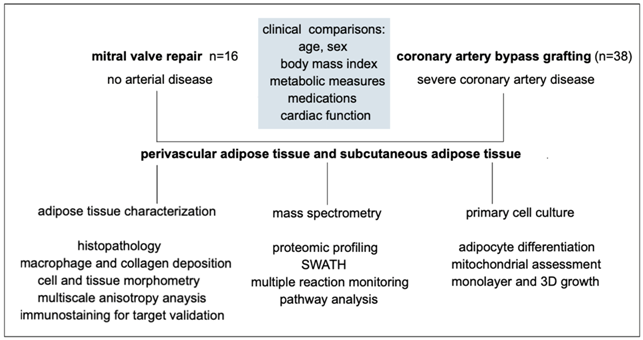 Biomedicines 12 02453 i001