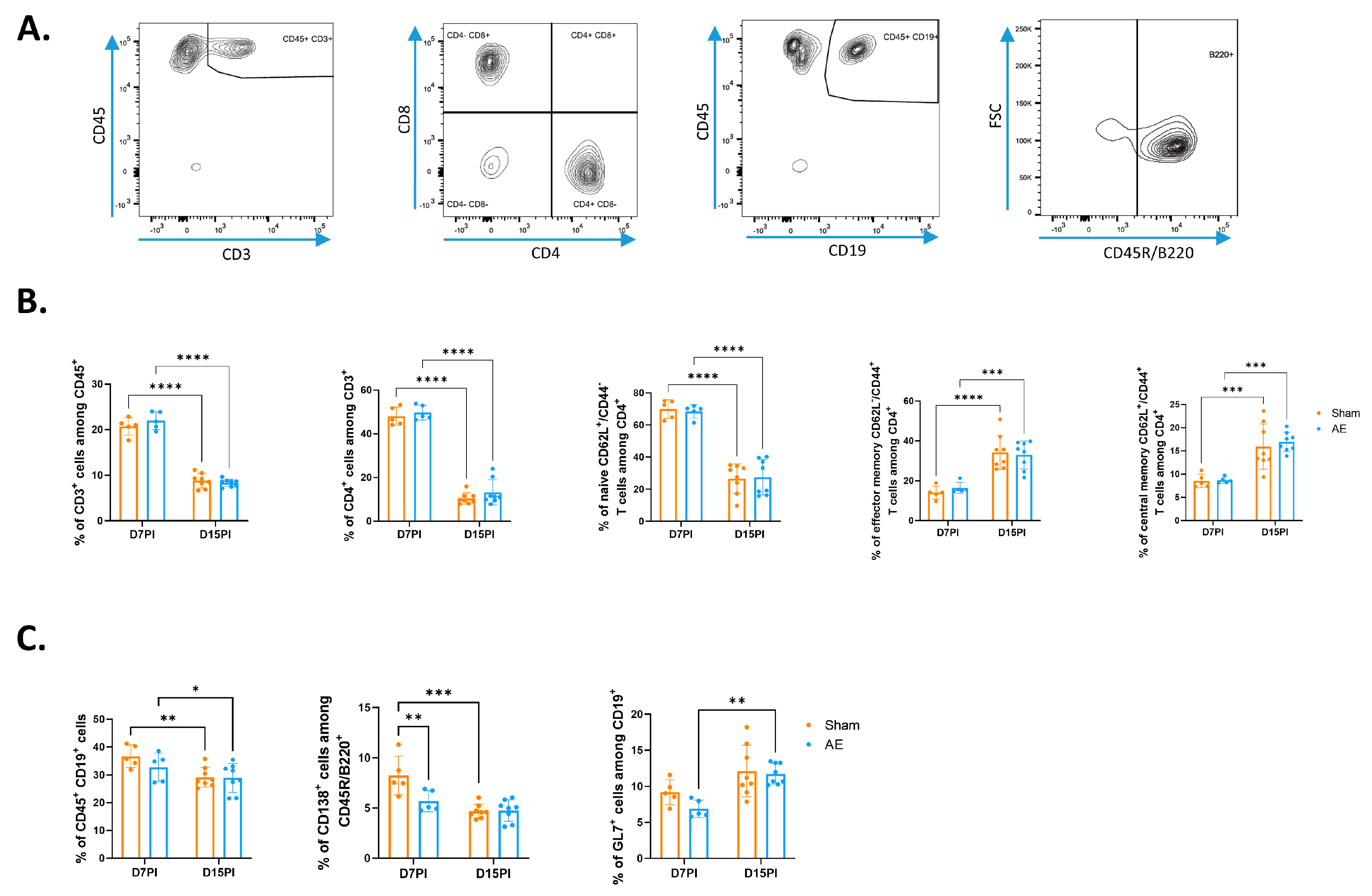 Biomedicines 12 02458 g001