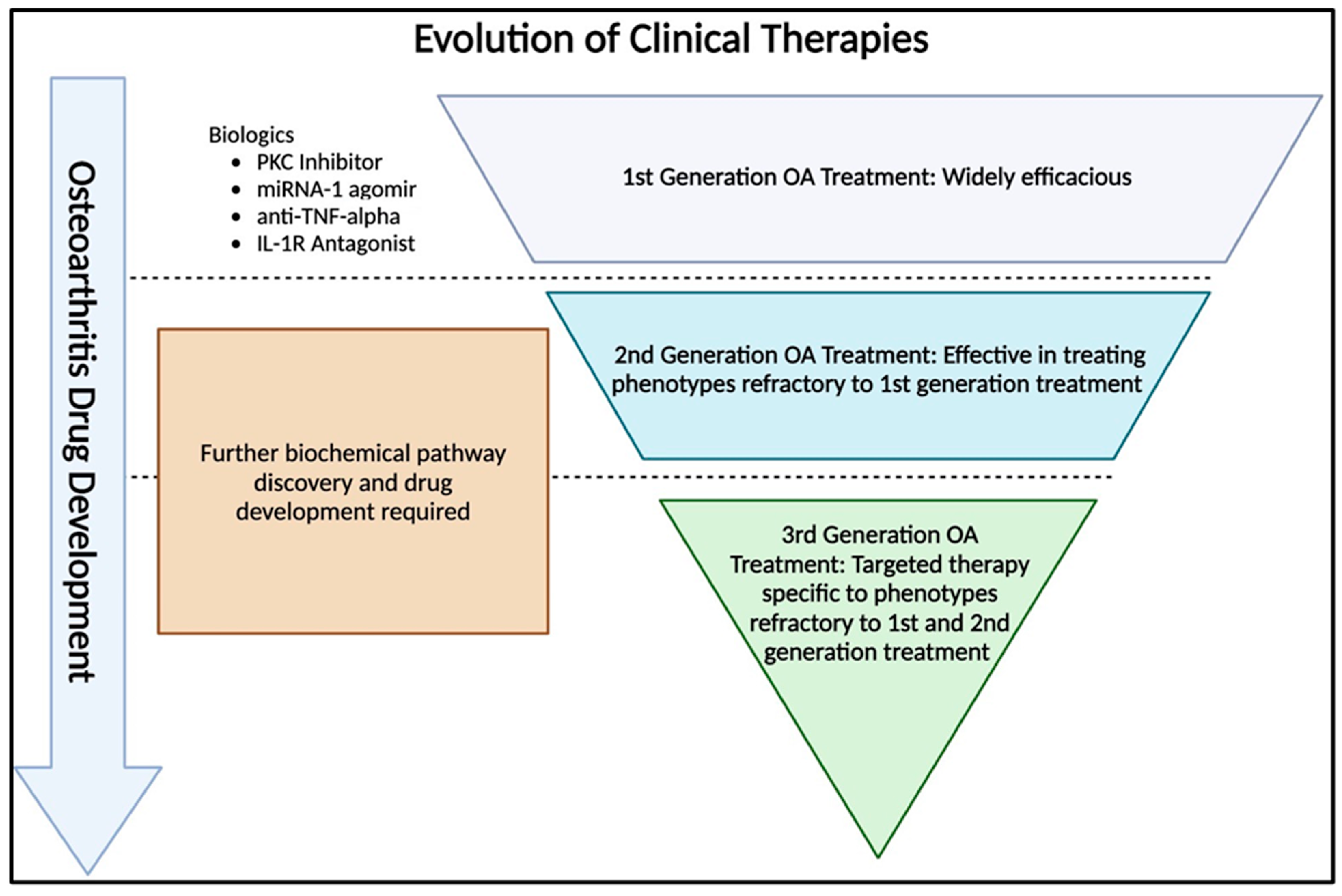 Biomedicines 12 02469 g001