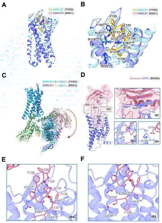Biomedicines 12 02470 g002