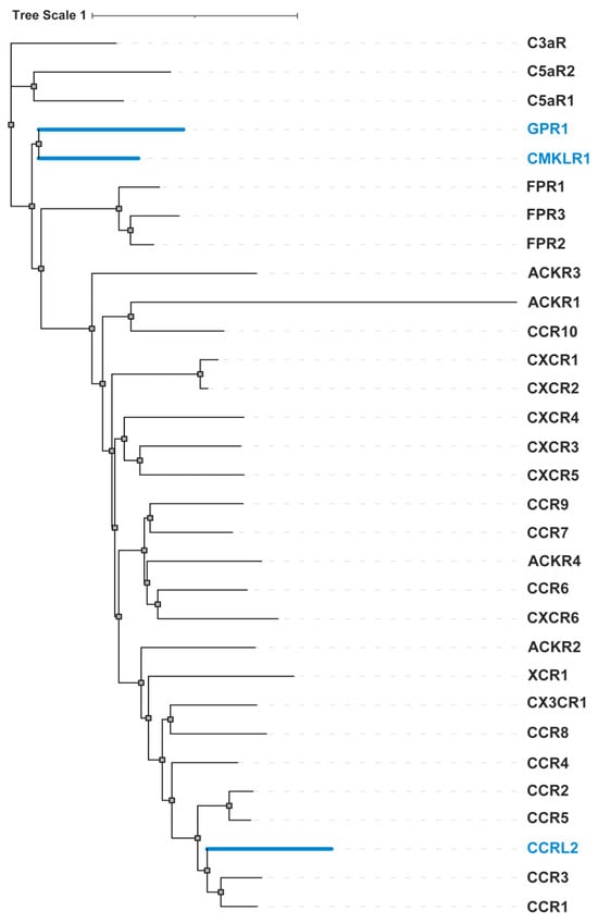 Biomedicines 12 02470 g004